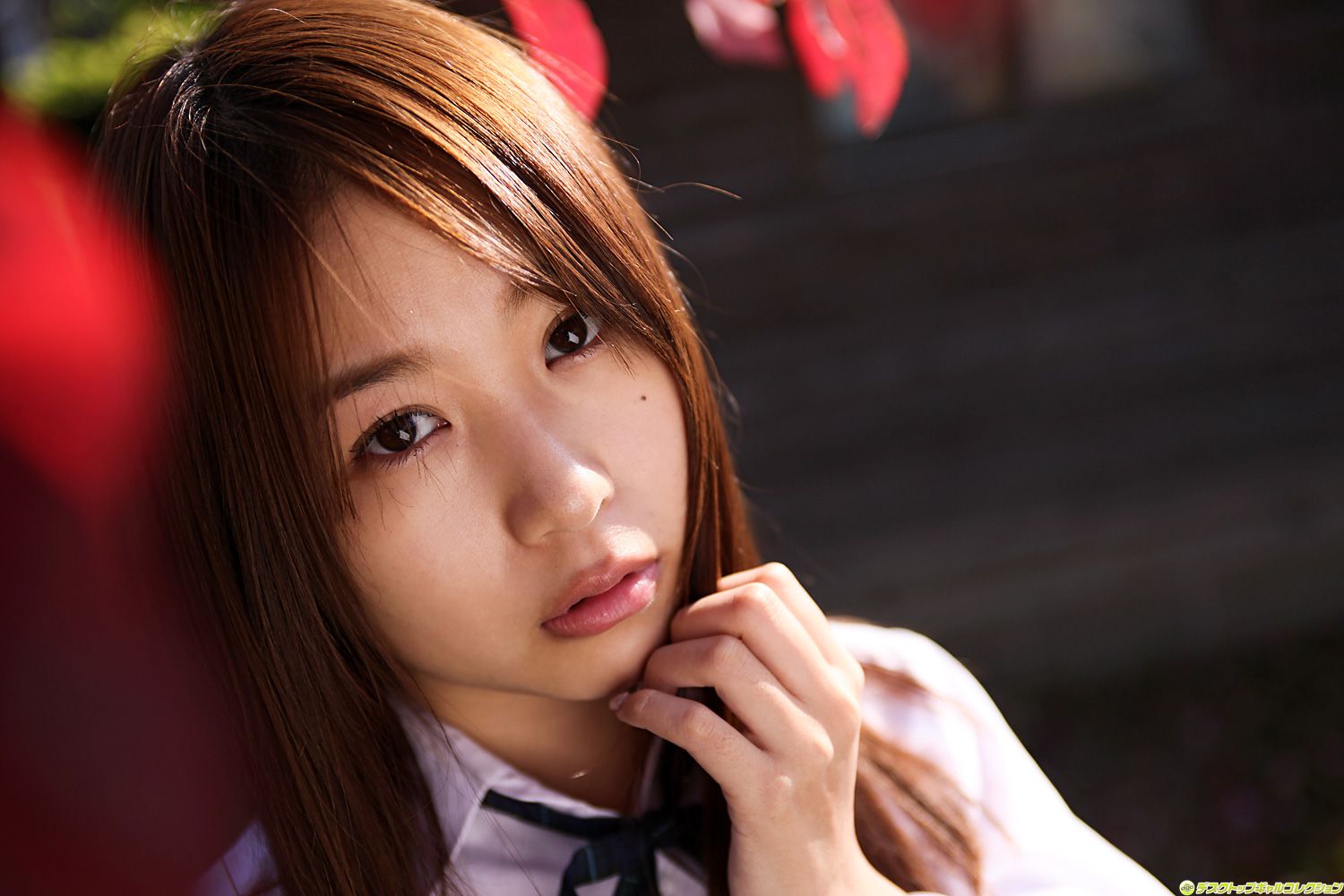 NO.915 Mai Nishida 西田麻衣 Gravure Idols-图73