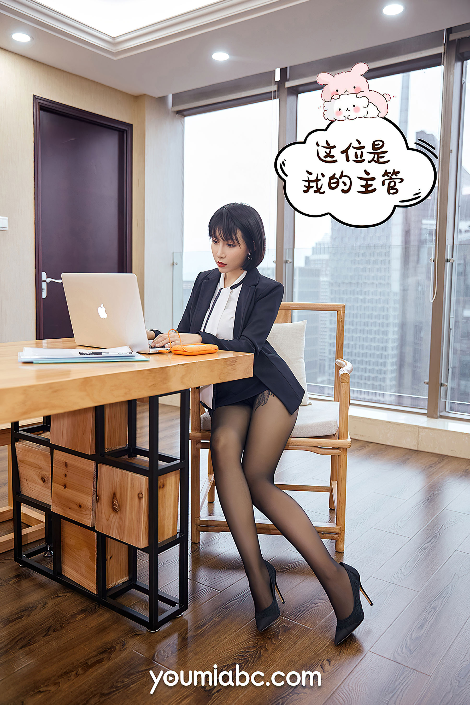安妮斯朵拉 升职之路-图0