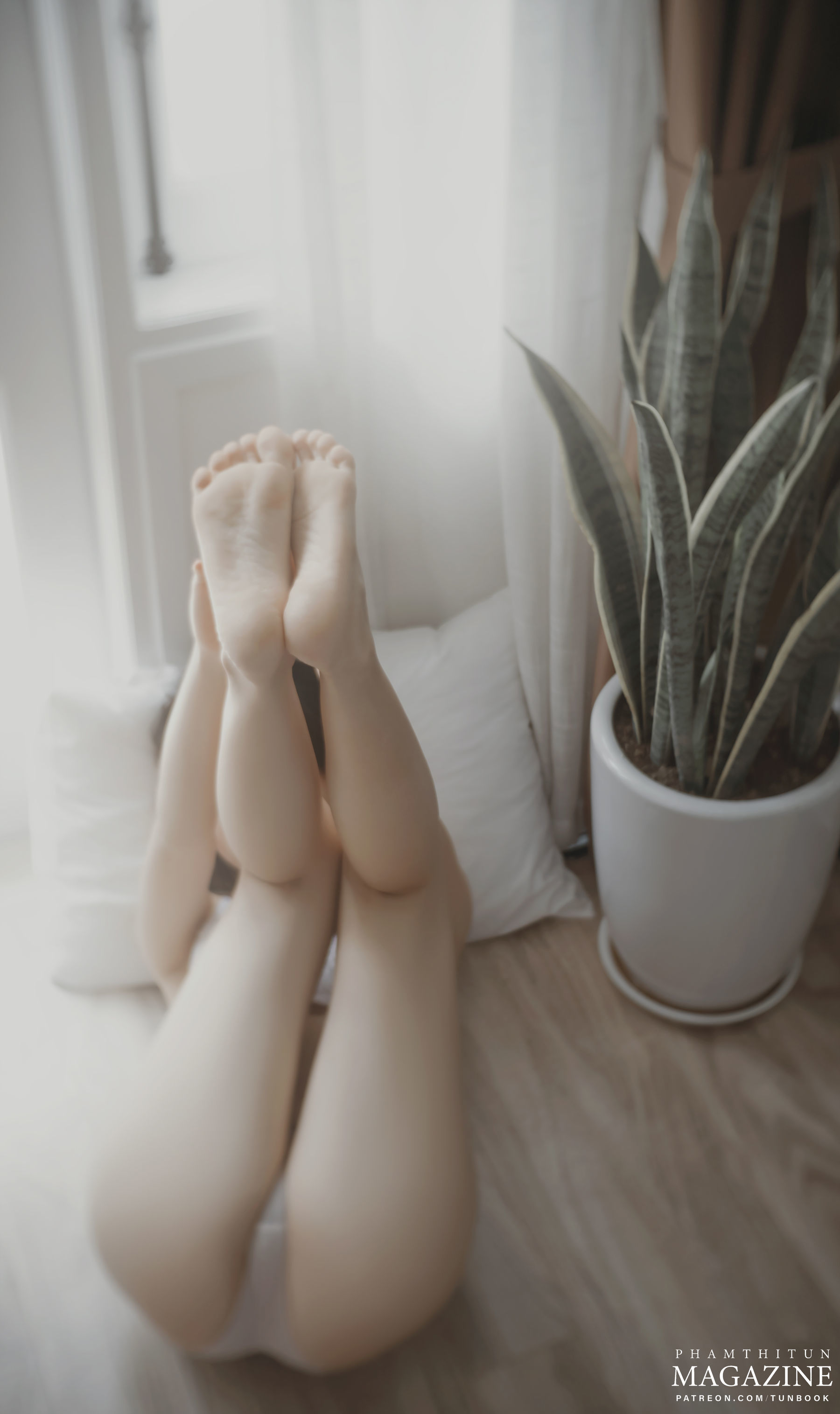 Patreon set AB49-图13