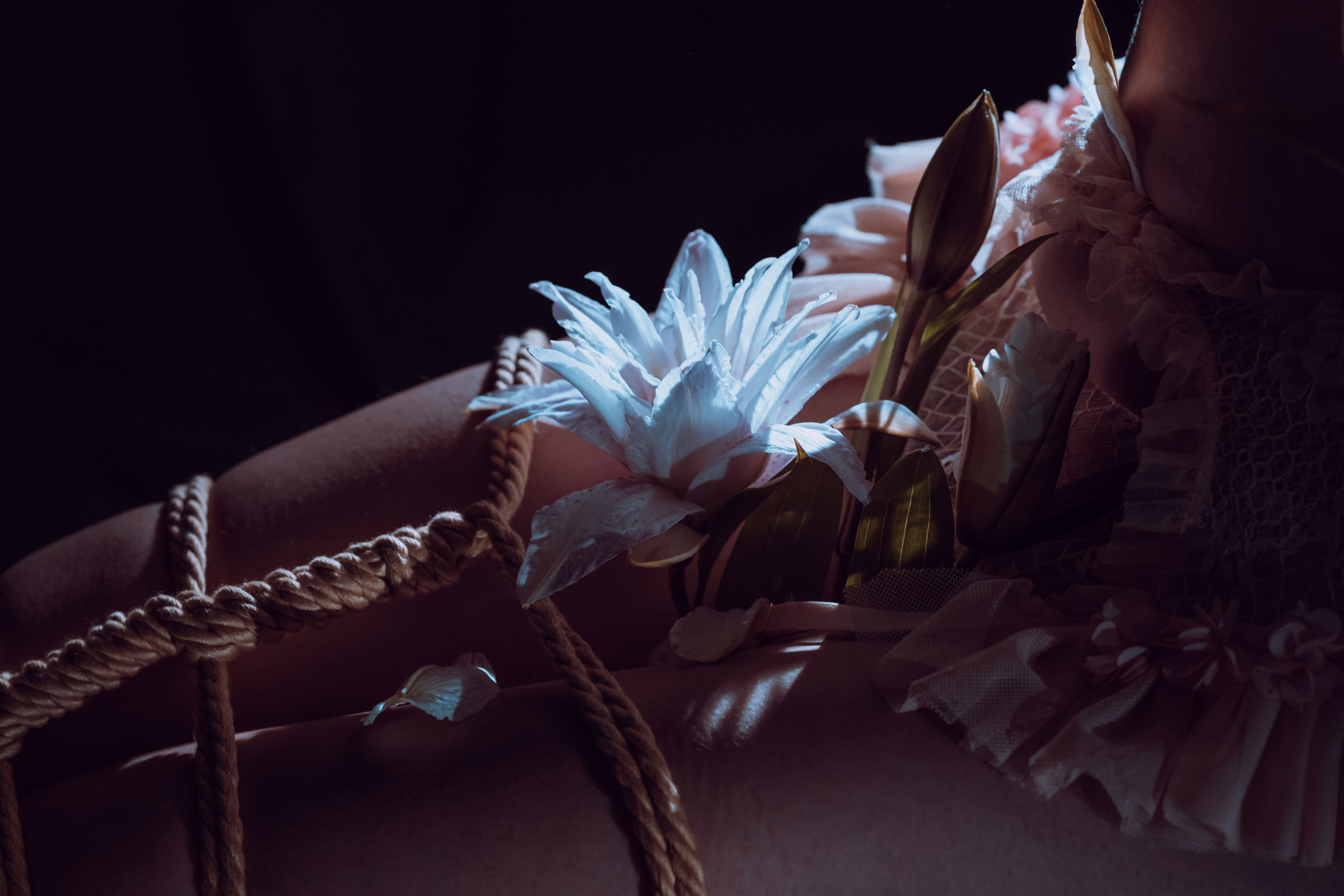 云溪溪 - 花与绳-图22
