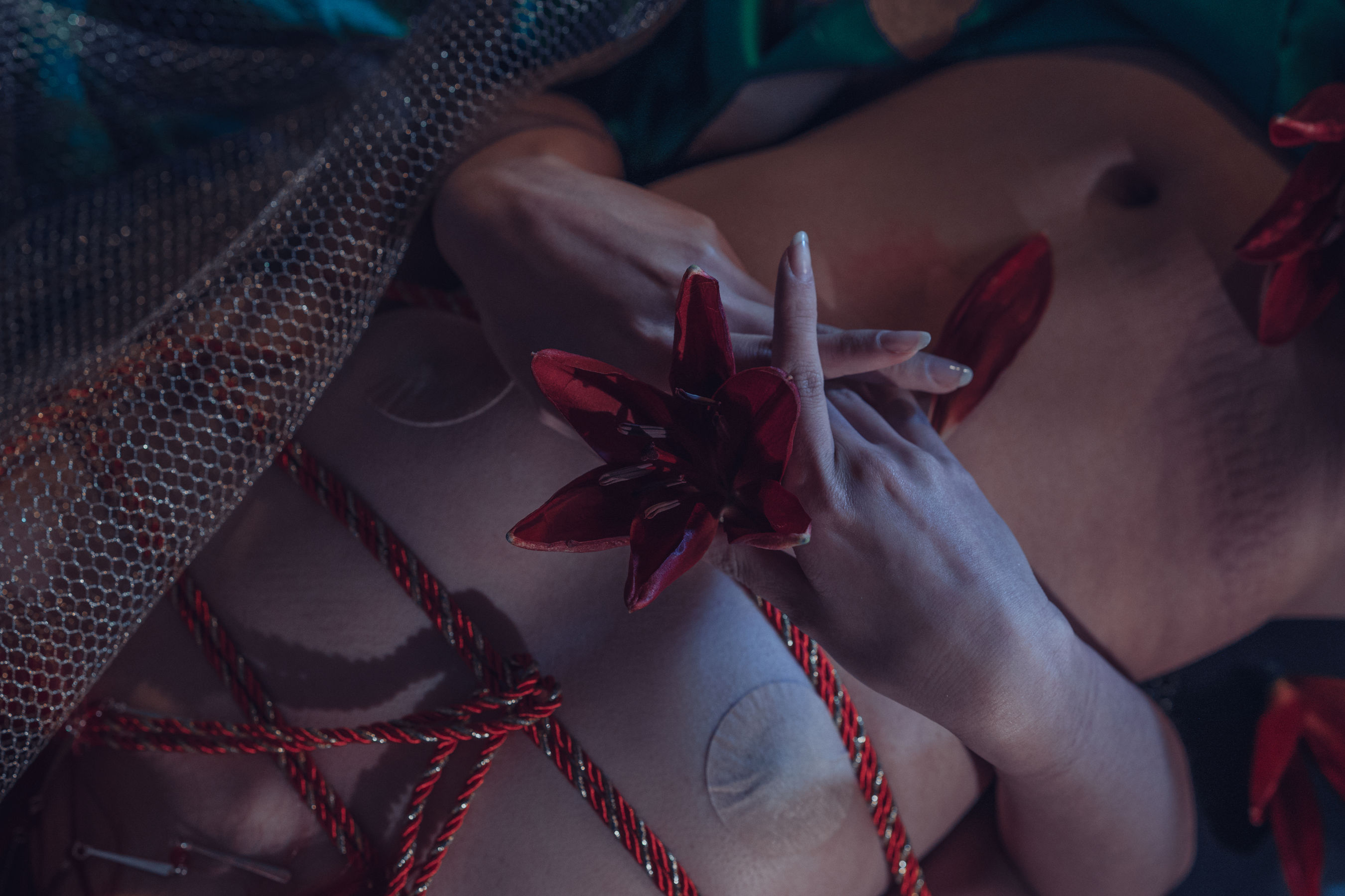 云溪溪 - 花与绳-图37