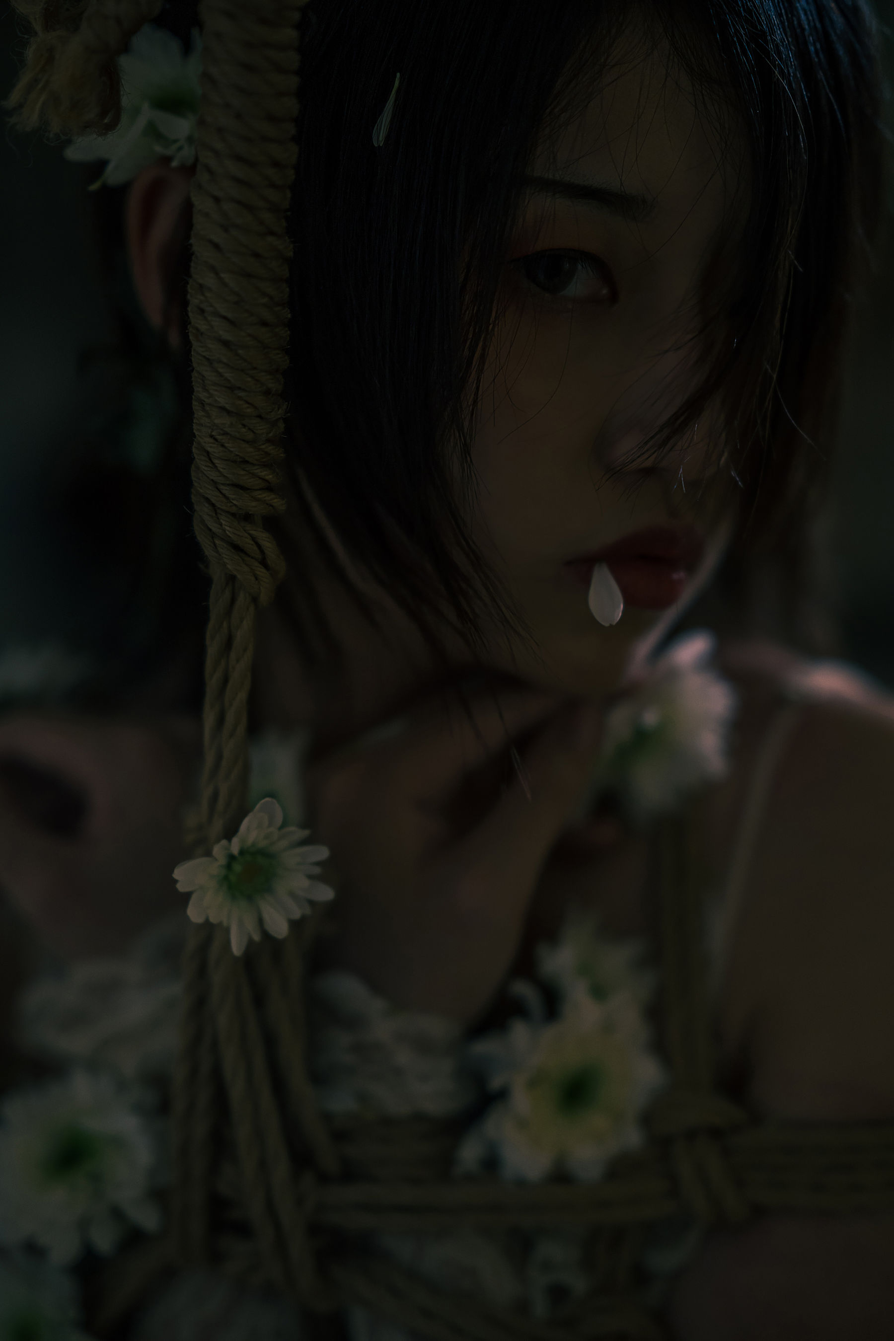 云溪溪 - 花与绳-图55