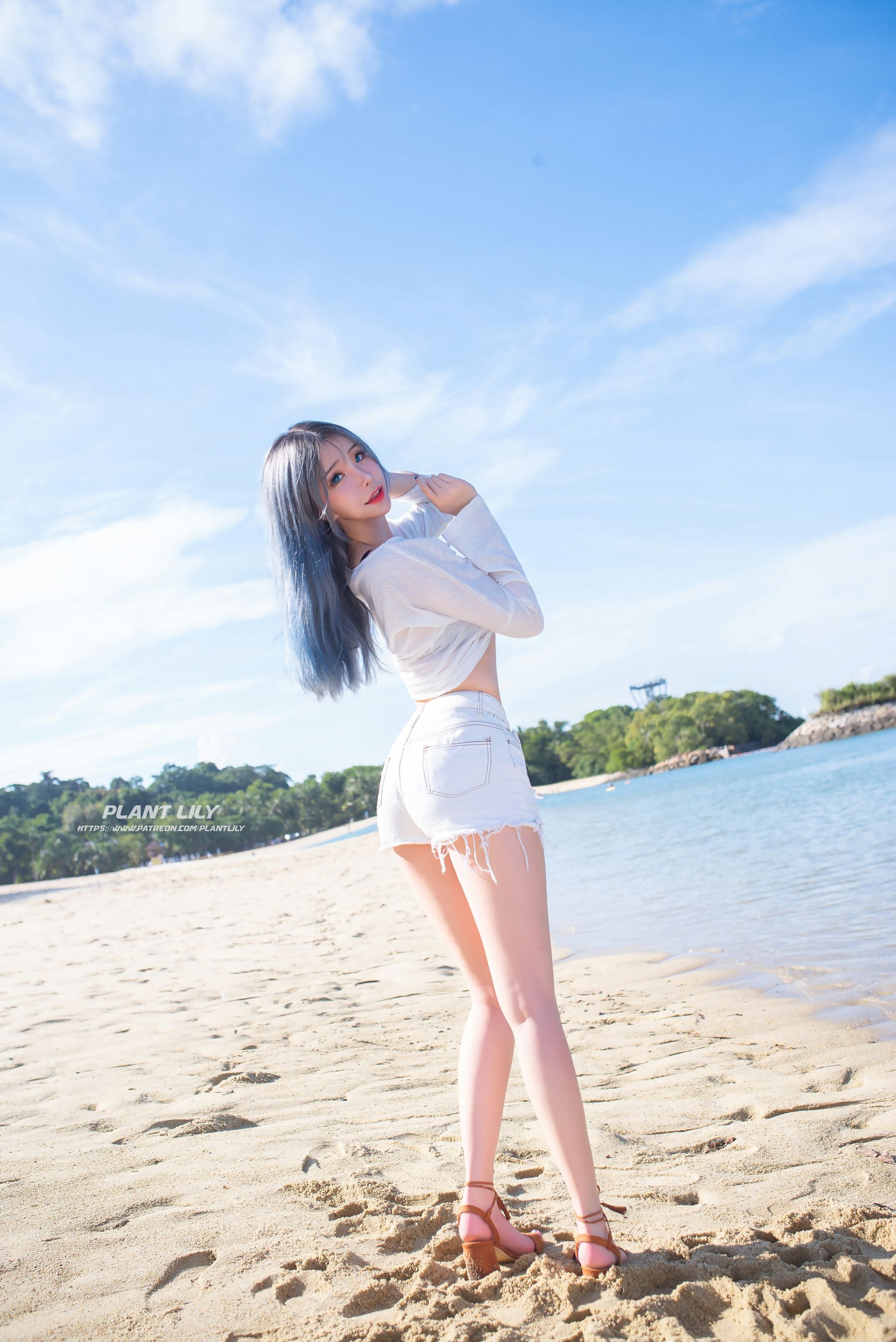 花リリ(Plant Lily) - Beach lily-图1