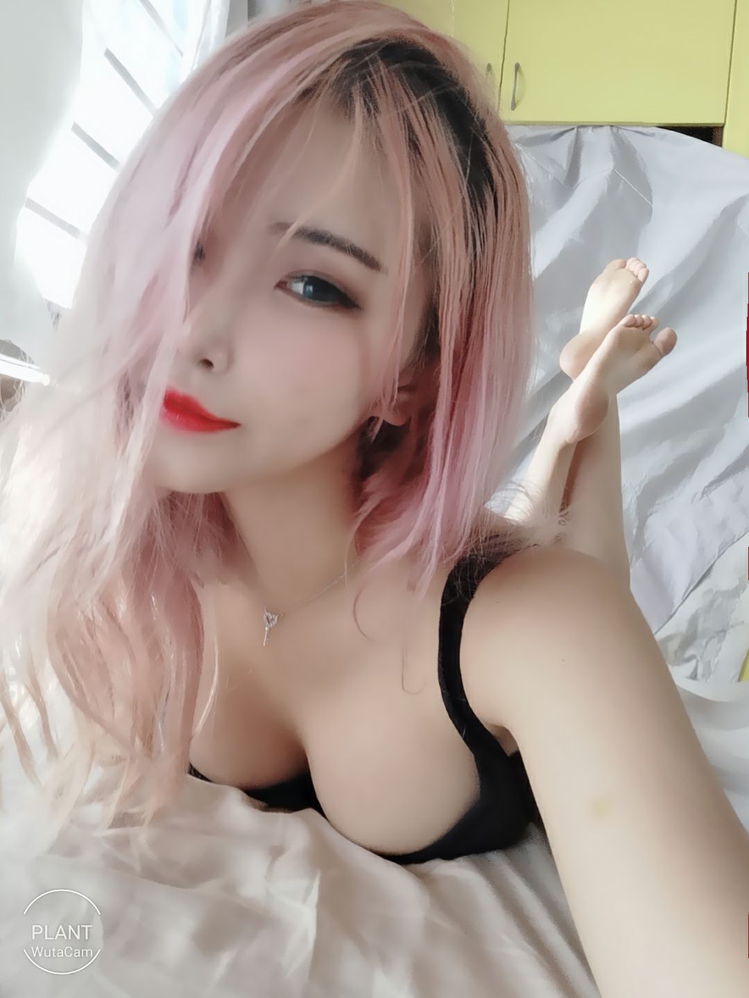花リリ(Plant Lily) - Plant Lily-图50