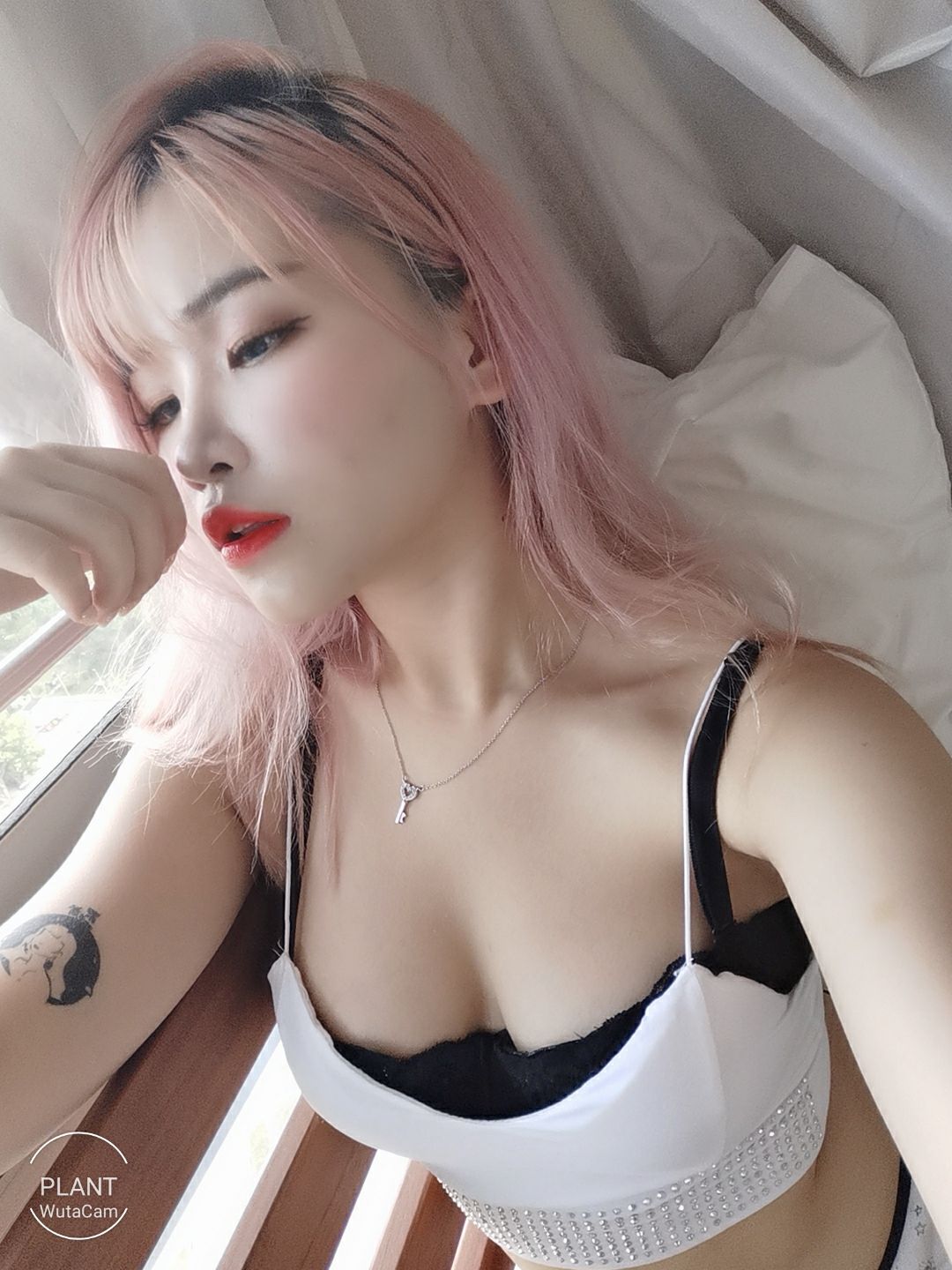 花リリ(Plant Lily) - Plant Lily-图61