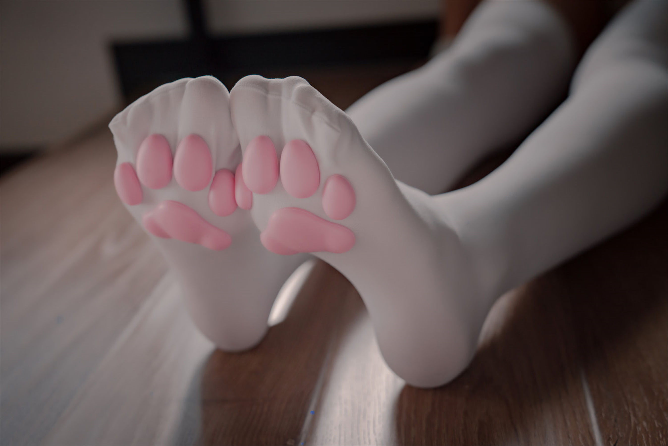 轩萧学姐 - 猫爪袜-图38
