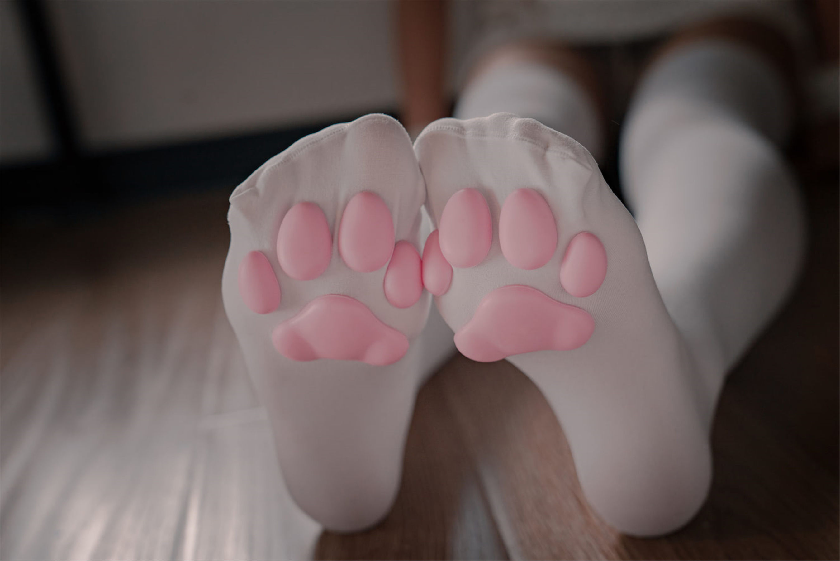 轩萧学姐 - 猫爪袜-图39
