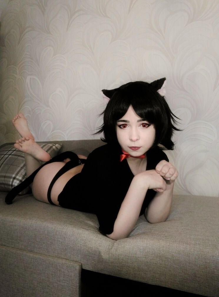 Yoshinobi - Haru the Cat-图2