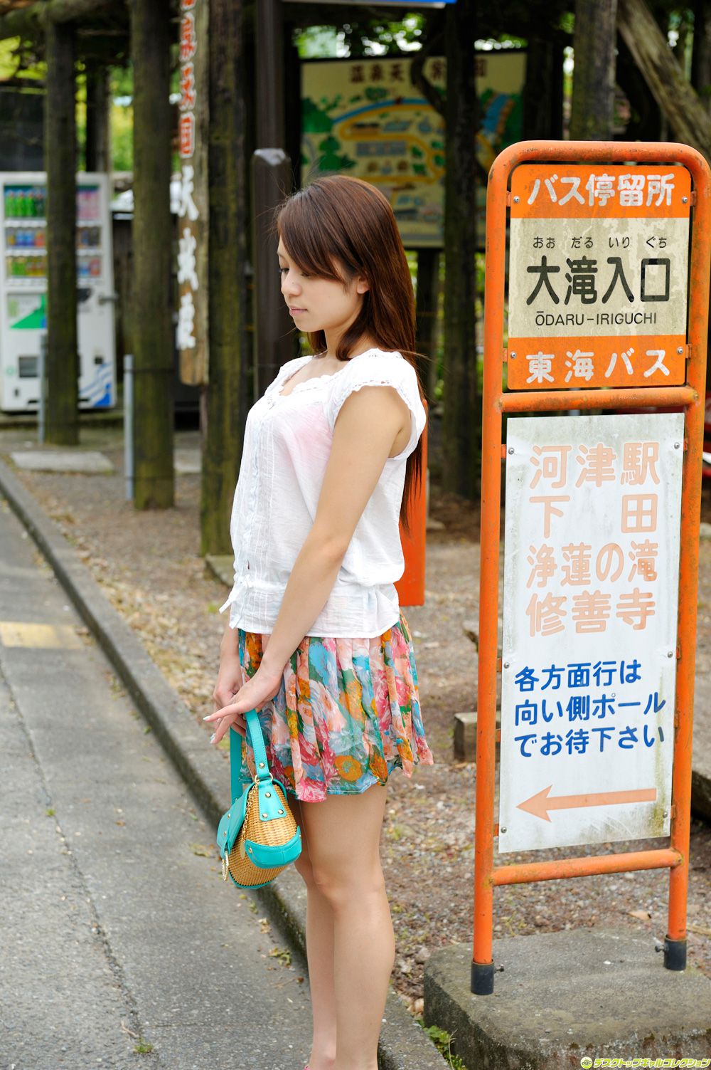 藤井シェリー/藤井雪莉《「芸能人より、美人》  NO.1148-图44