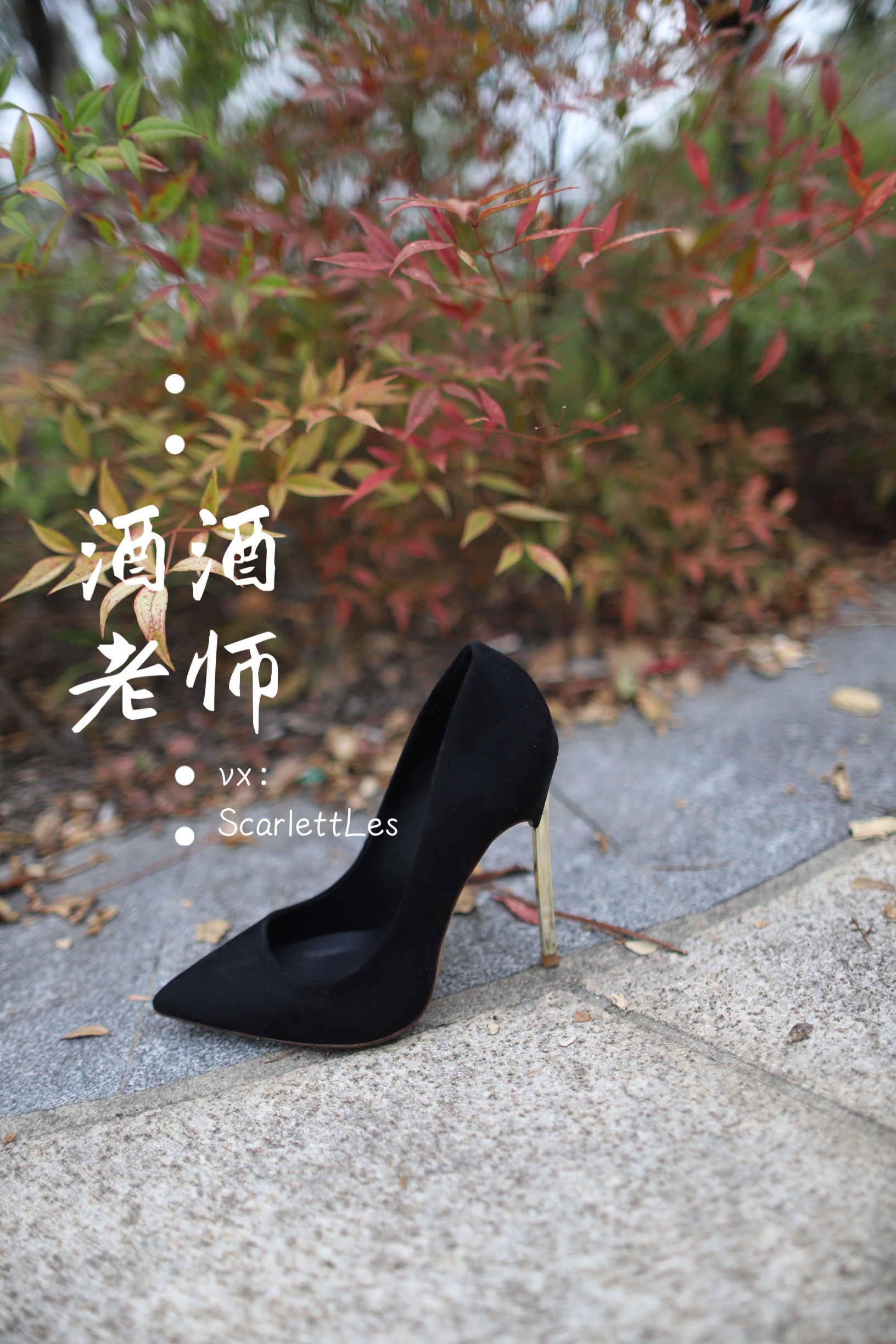 酒酒老师 - 上课前误穿黒丝-图11