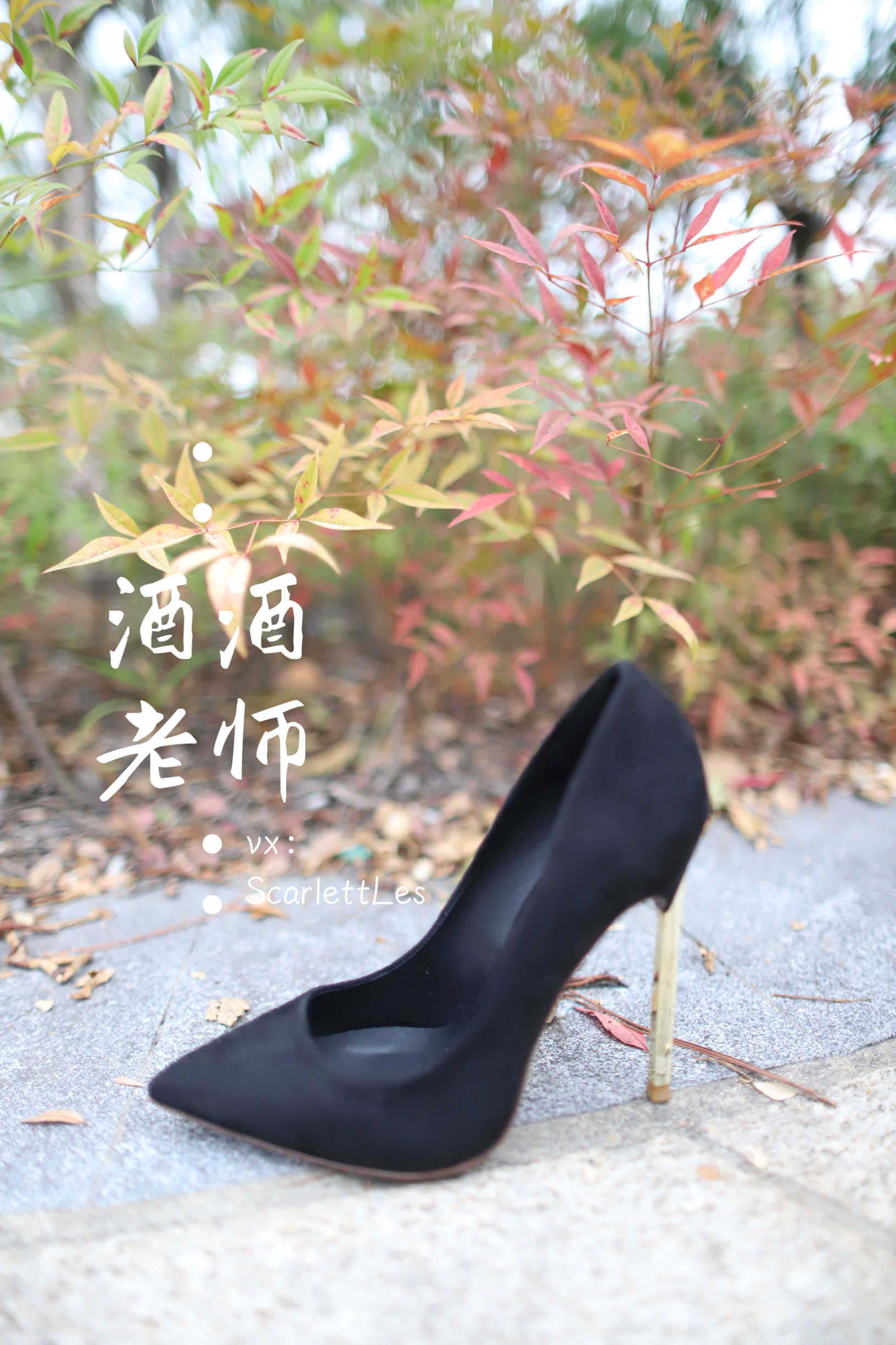 酒酒老师 - 上课前误穿黒丝-图12