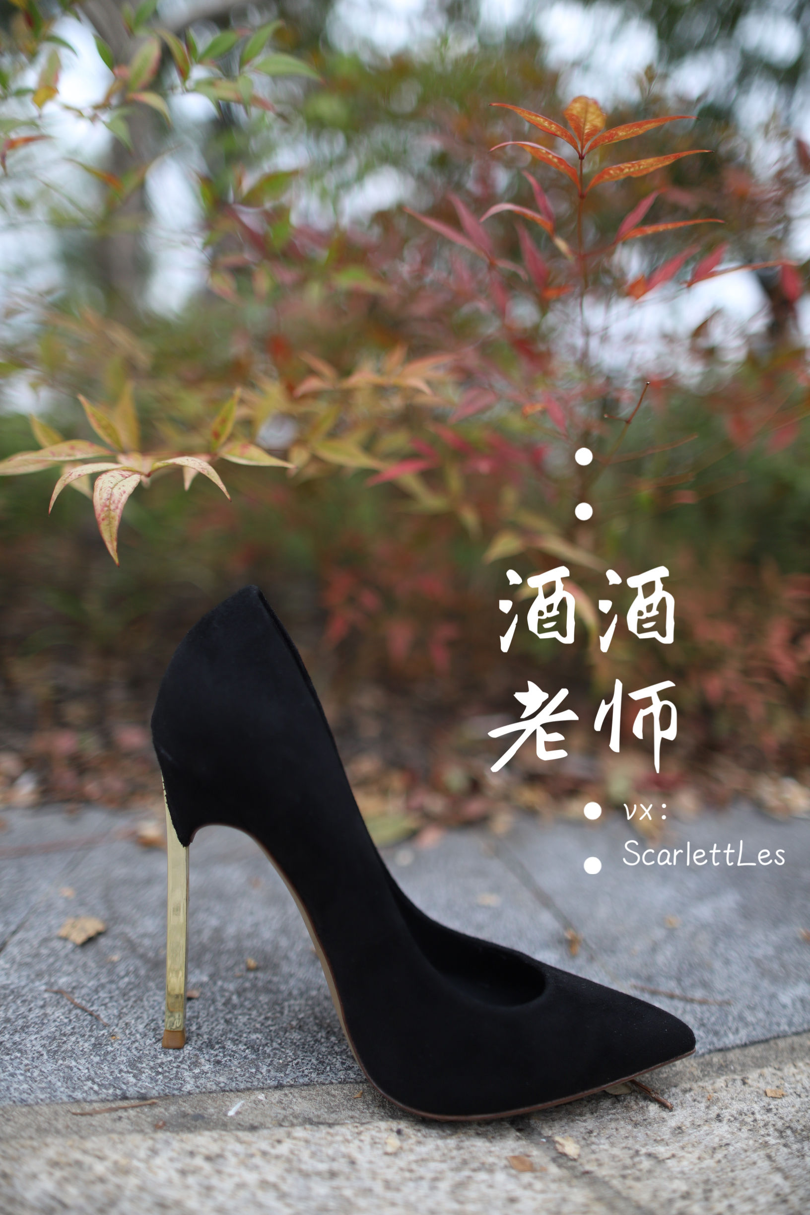 酒酒老师 - 上课前误穿黒丝-图1