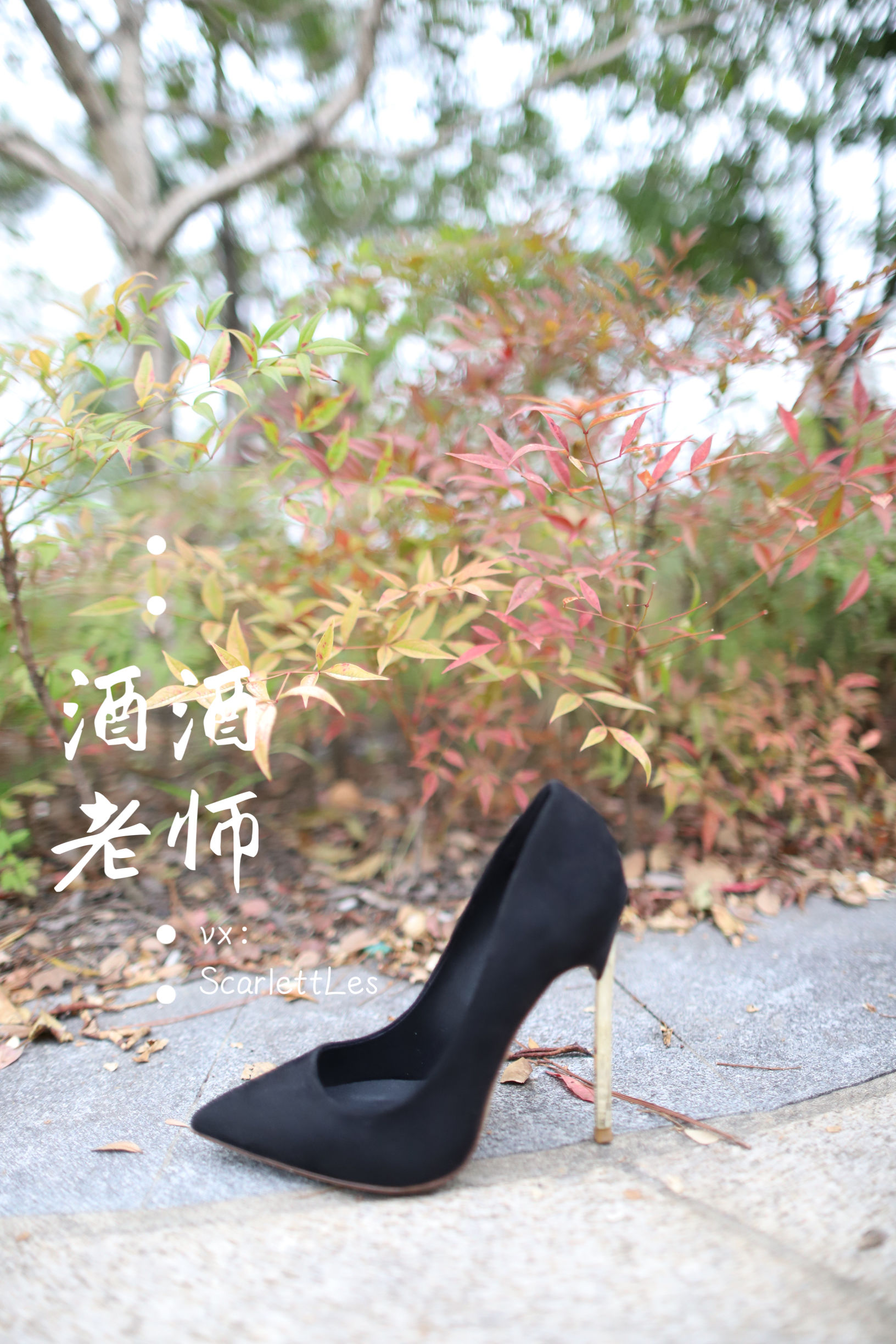 酒酒老师 - 上课前误穿黒丝-图7