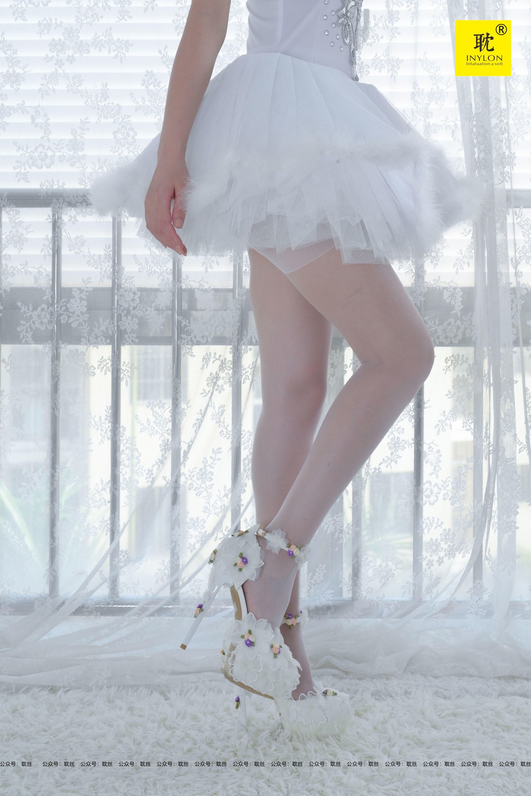 PH-S003 紫薇 白芭蕾-图18