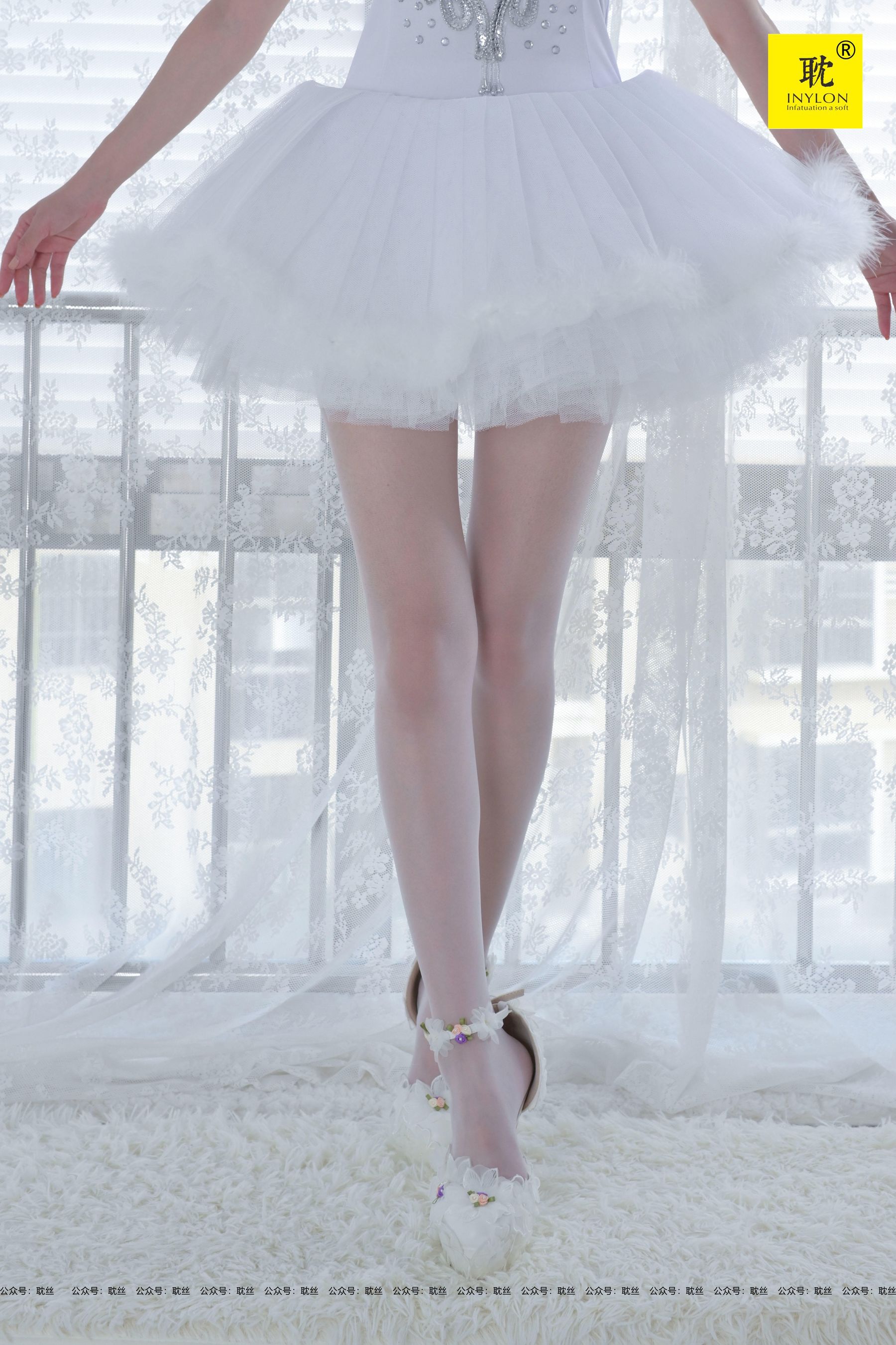 PH-S003 紫薇 白芭蕾-图29