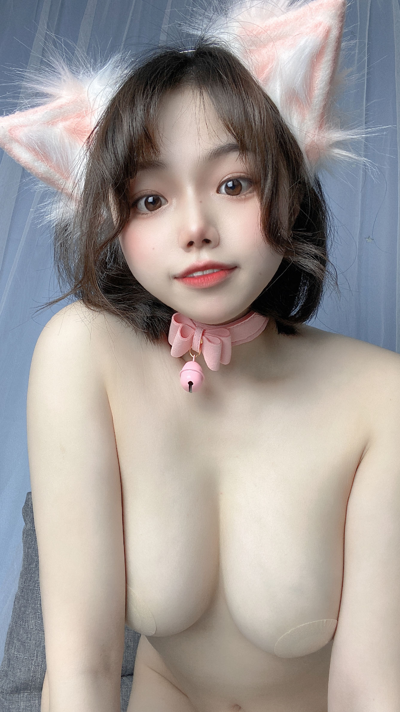 七月喵子 - 猫咪-图34