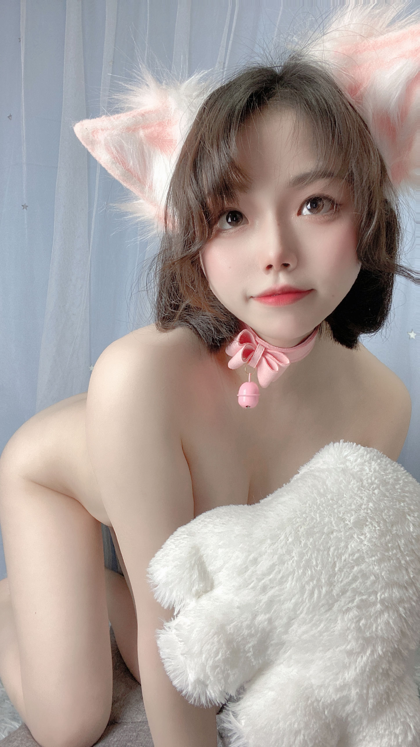 七月喵子 - 猫咪-图49