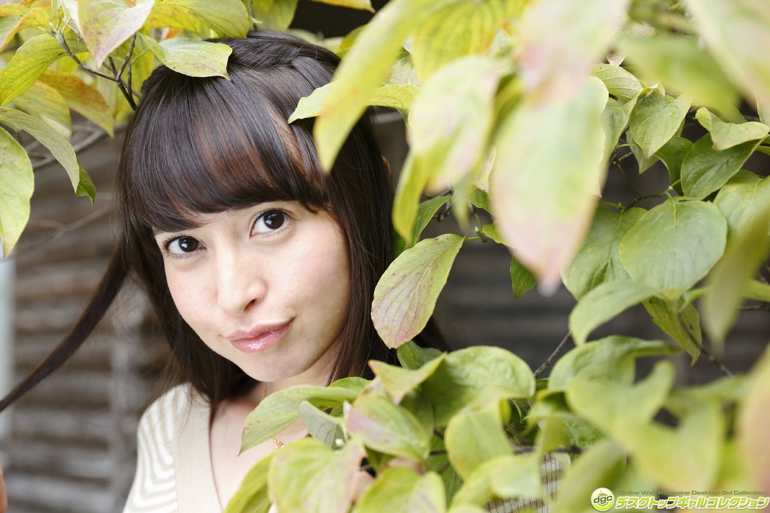 西田藍《コスプレ大好きなハーフのインテリ美少女！》  NO.1270-图2