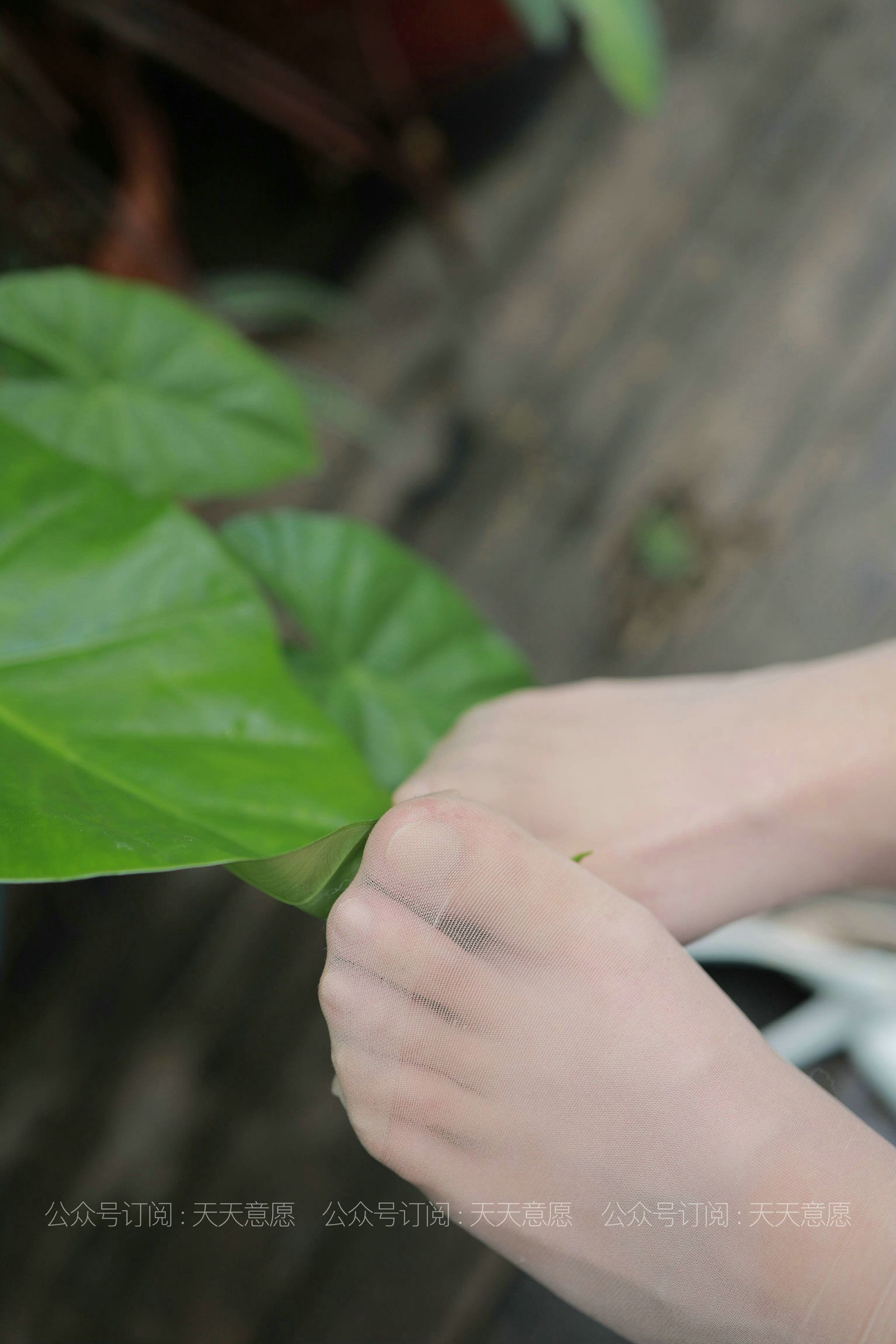 模特：婉苹《粉色短裙》-图34