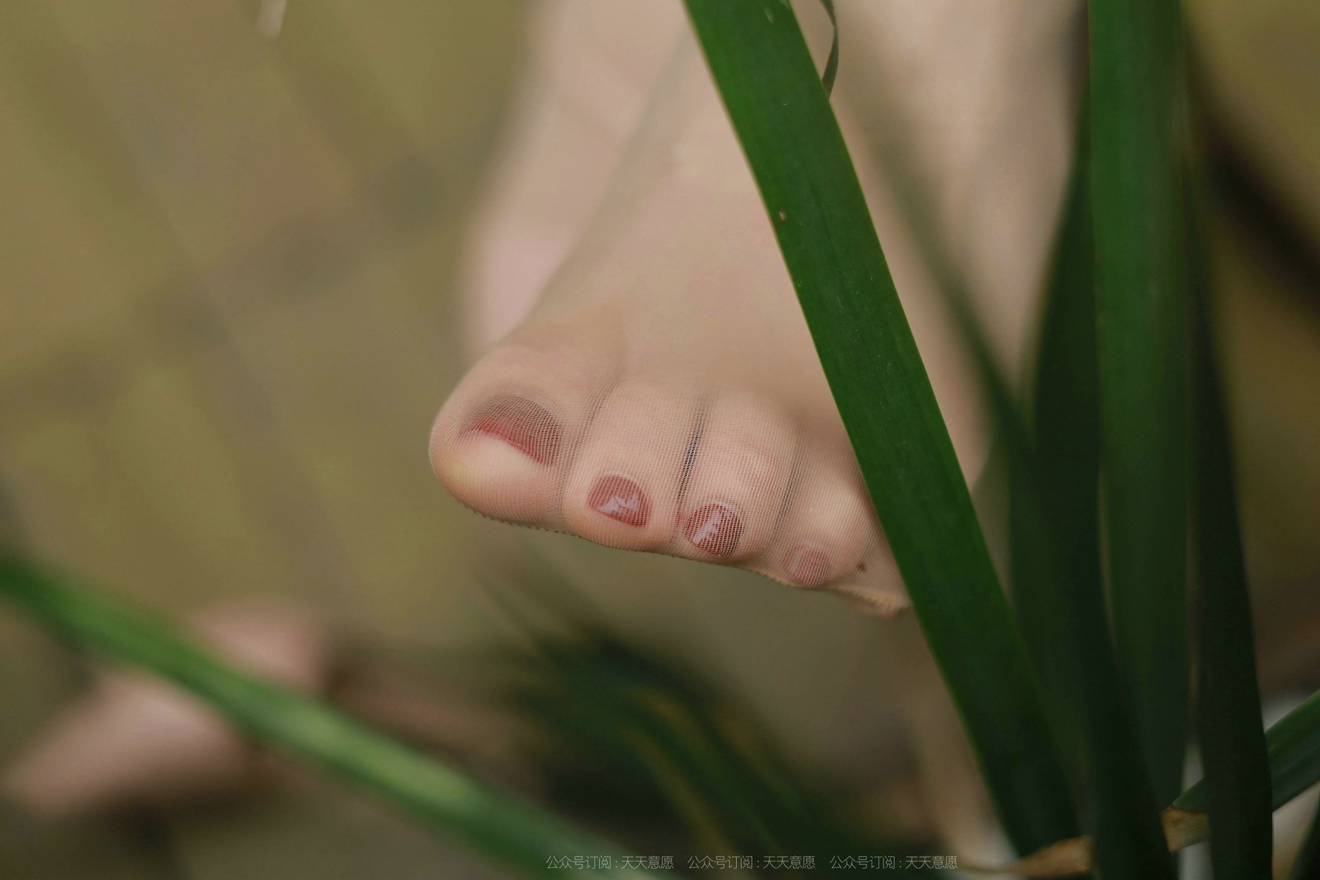 模特：小六《带你去散步》-图37