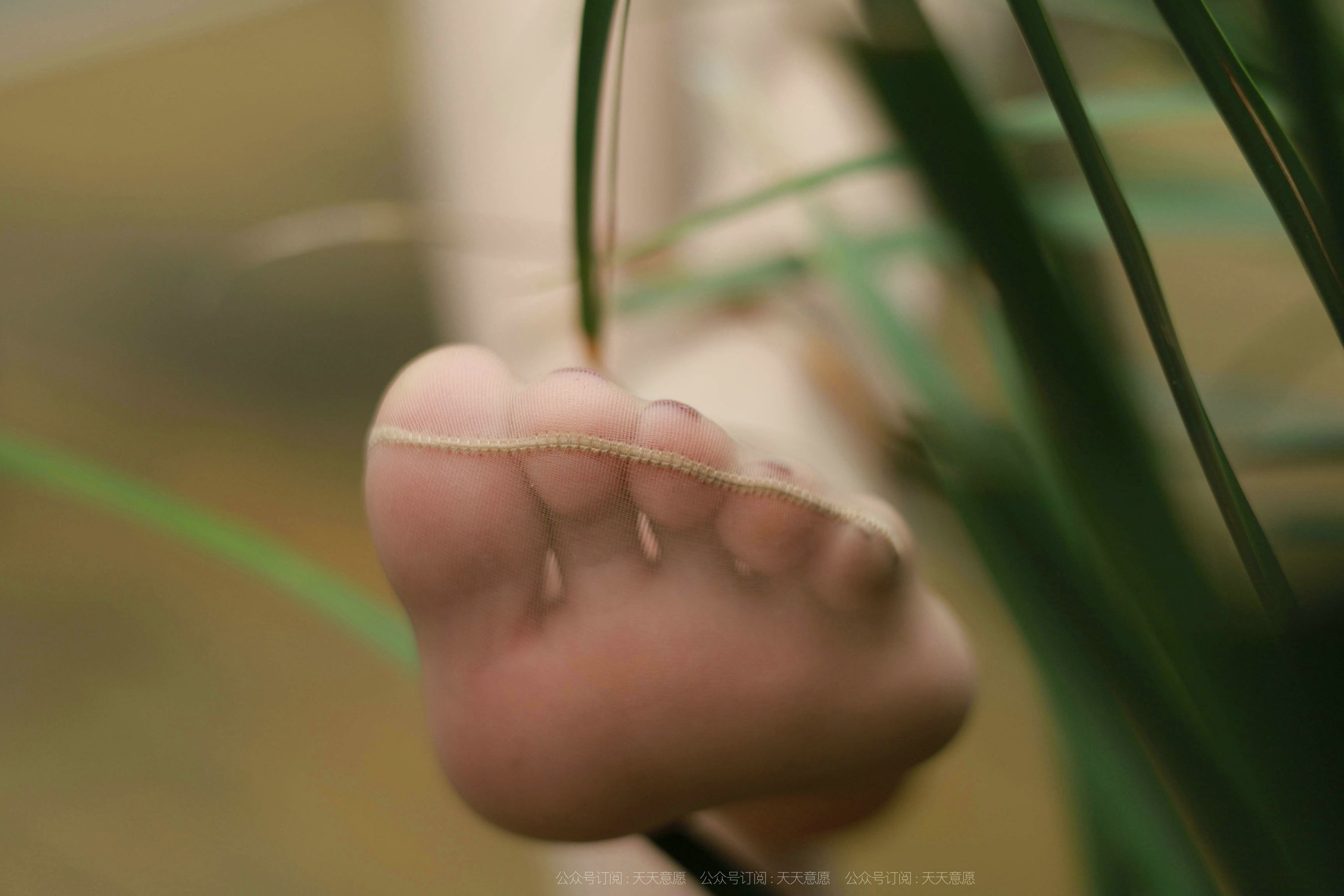 模特：小六《带你去散步》-图38