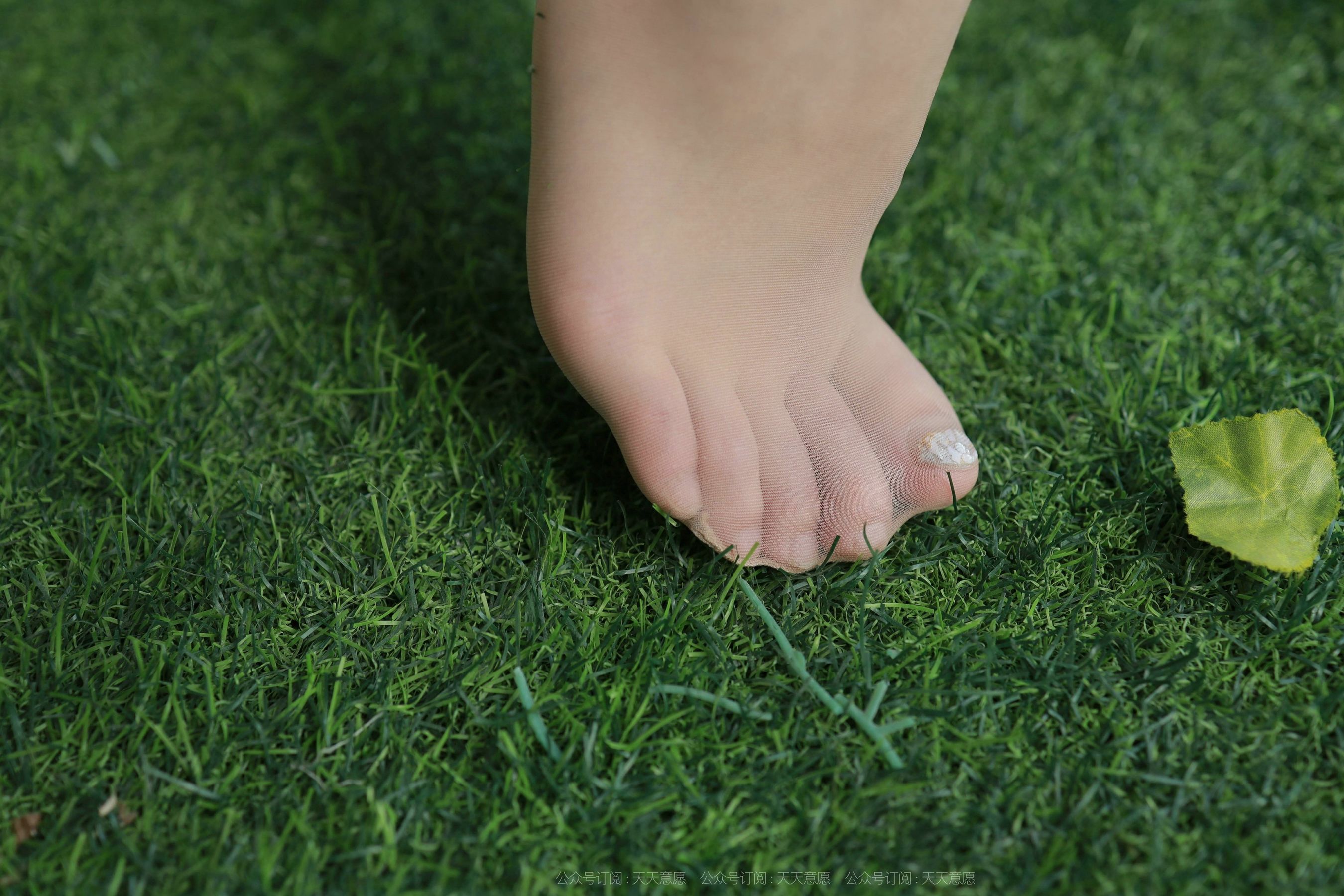 模特：秋秋《阳台上的美女》-图27