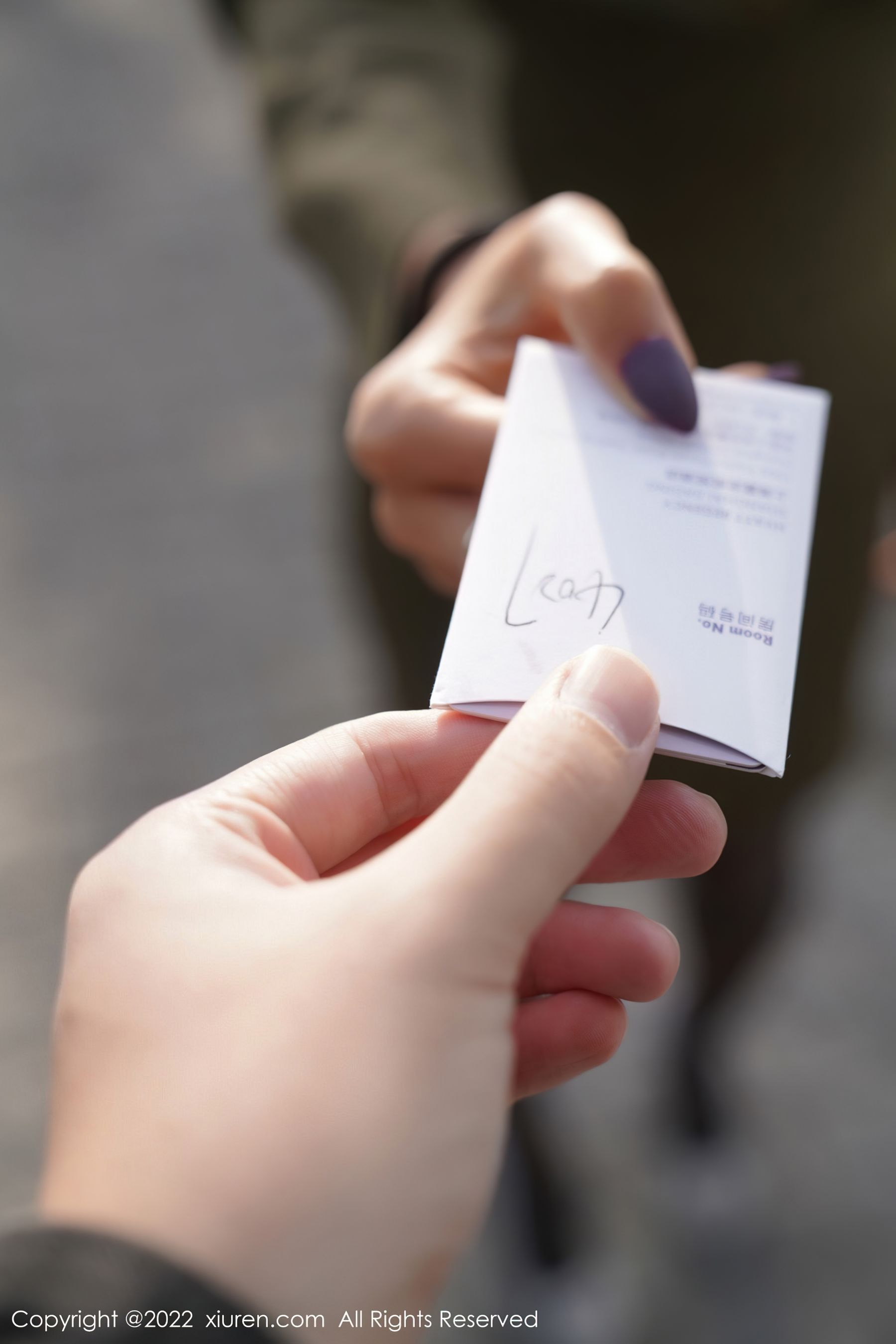 No.4428 蓝夏-图16