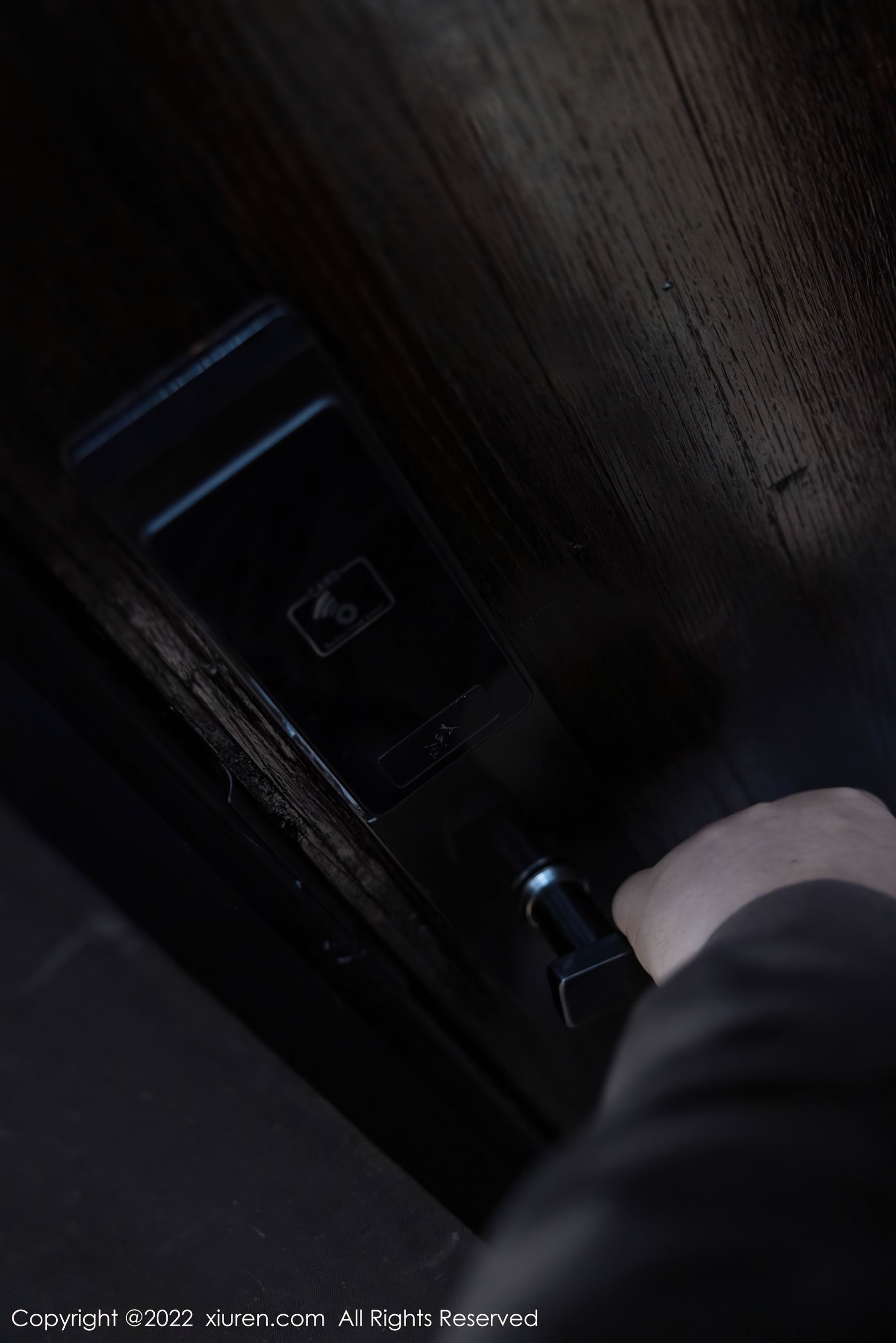 No.4498 绮里嘉-图39