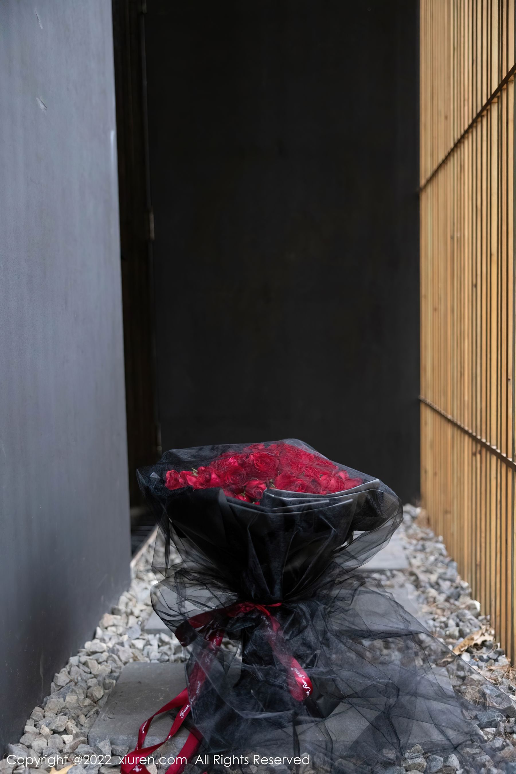 No.4498 绮里嘉-图40