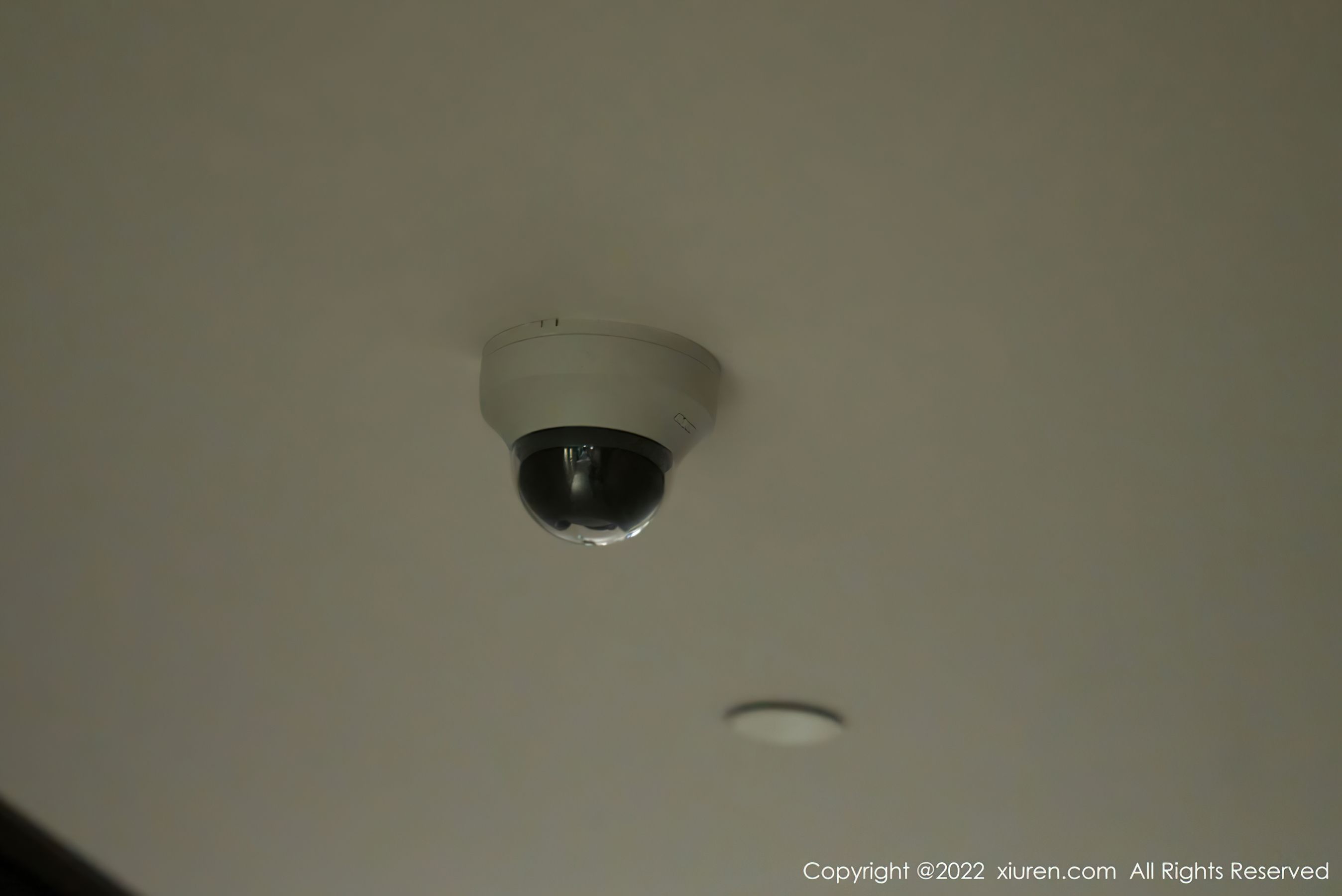 No.4517 周于希-图97