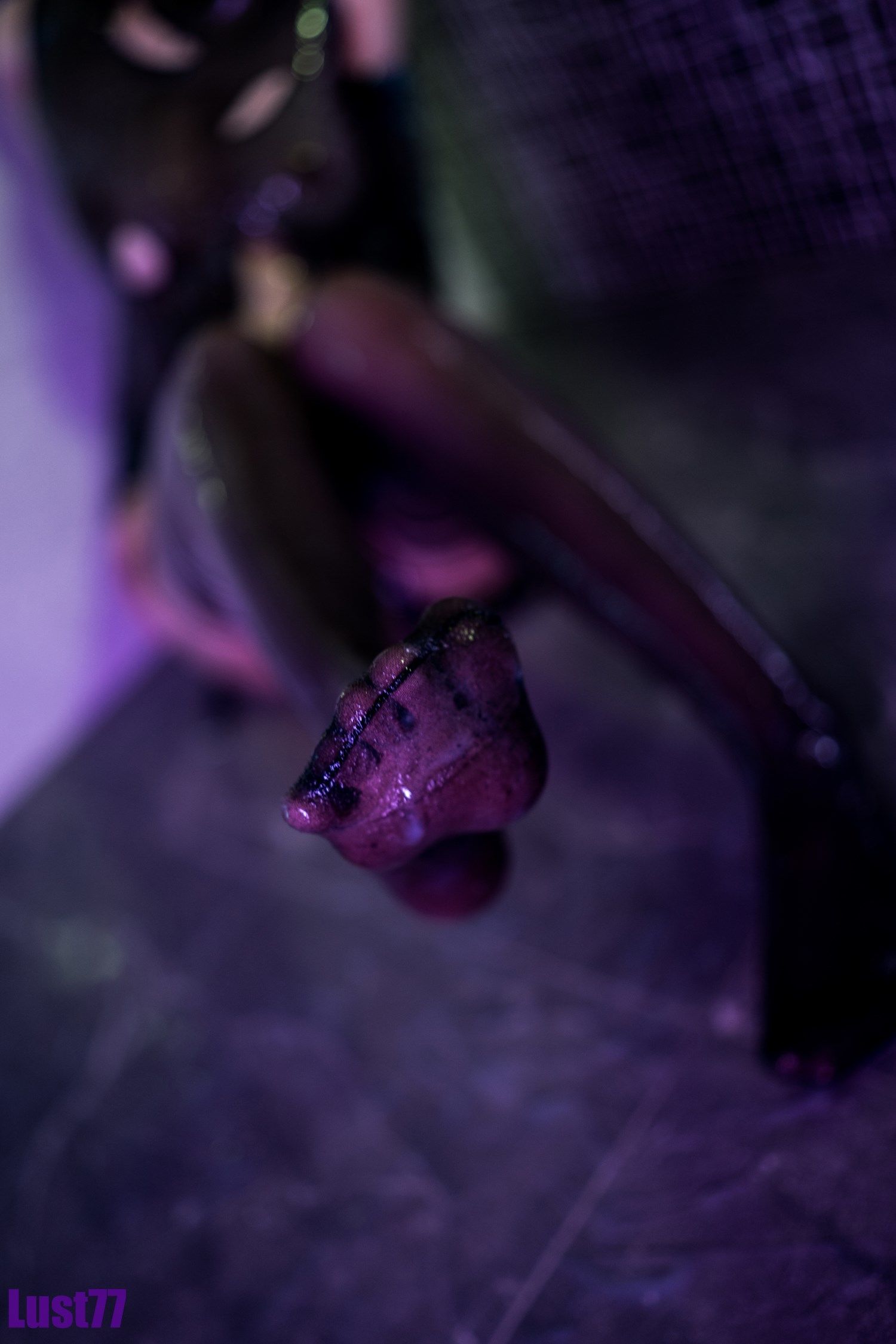 动漫博主柒柒要乖哦 - 白液俘虏-图73