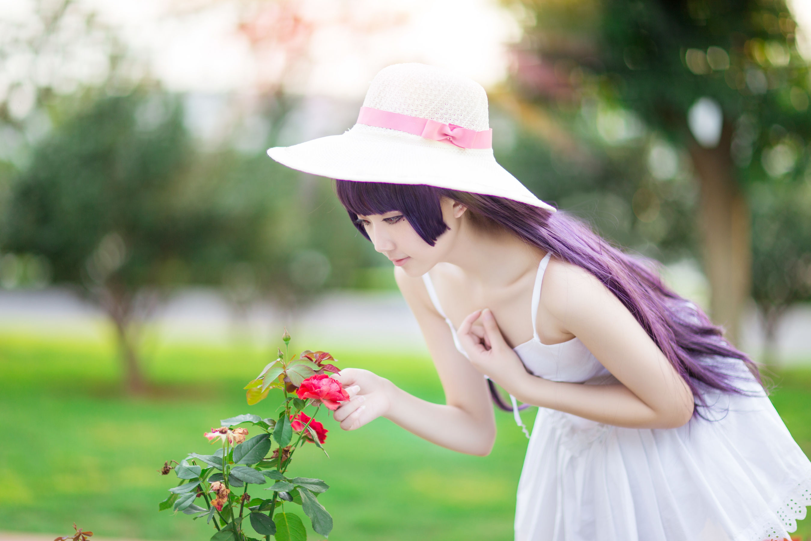 动漫博主浅野菌子 - 我的妹妹哪有这么可爱！-图6