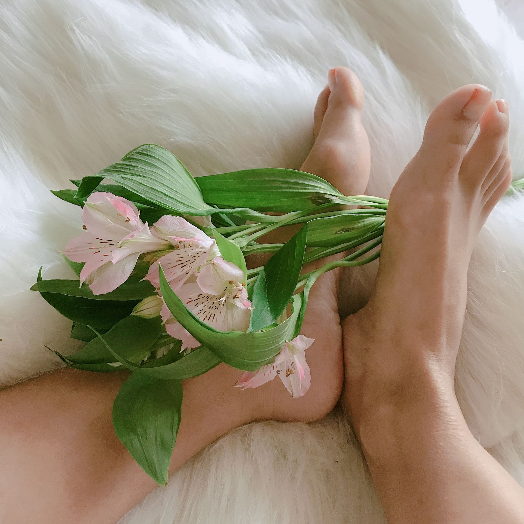 安乔乔儿(Nia乔乔) No.006 学姐来了-图0