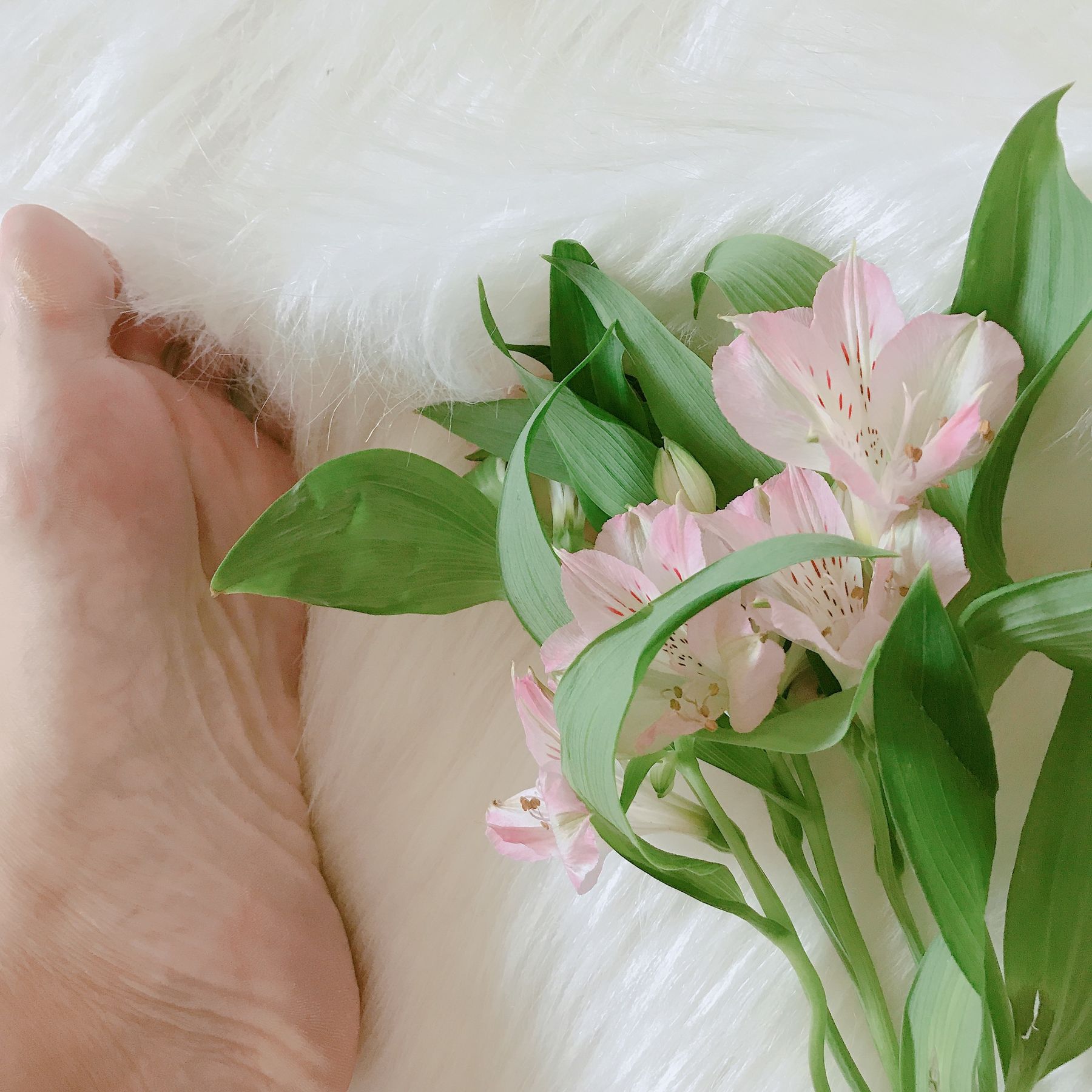 安乔乔儿(Nia乔乔) No.006 学姐来了-图10