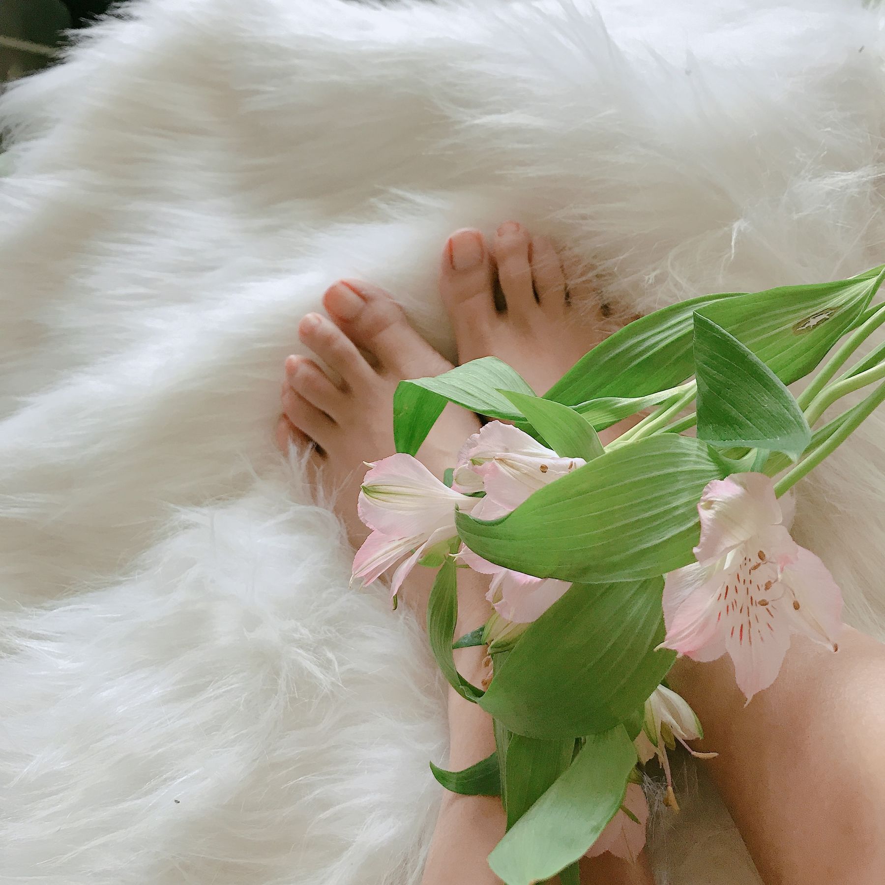 安乔乔儿(Nia乔乔) No.006 学姐来了-图1