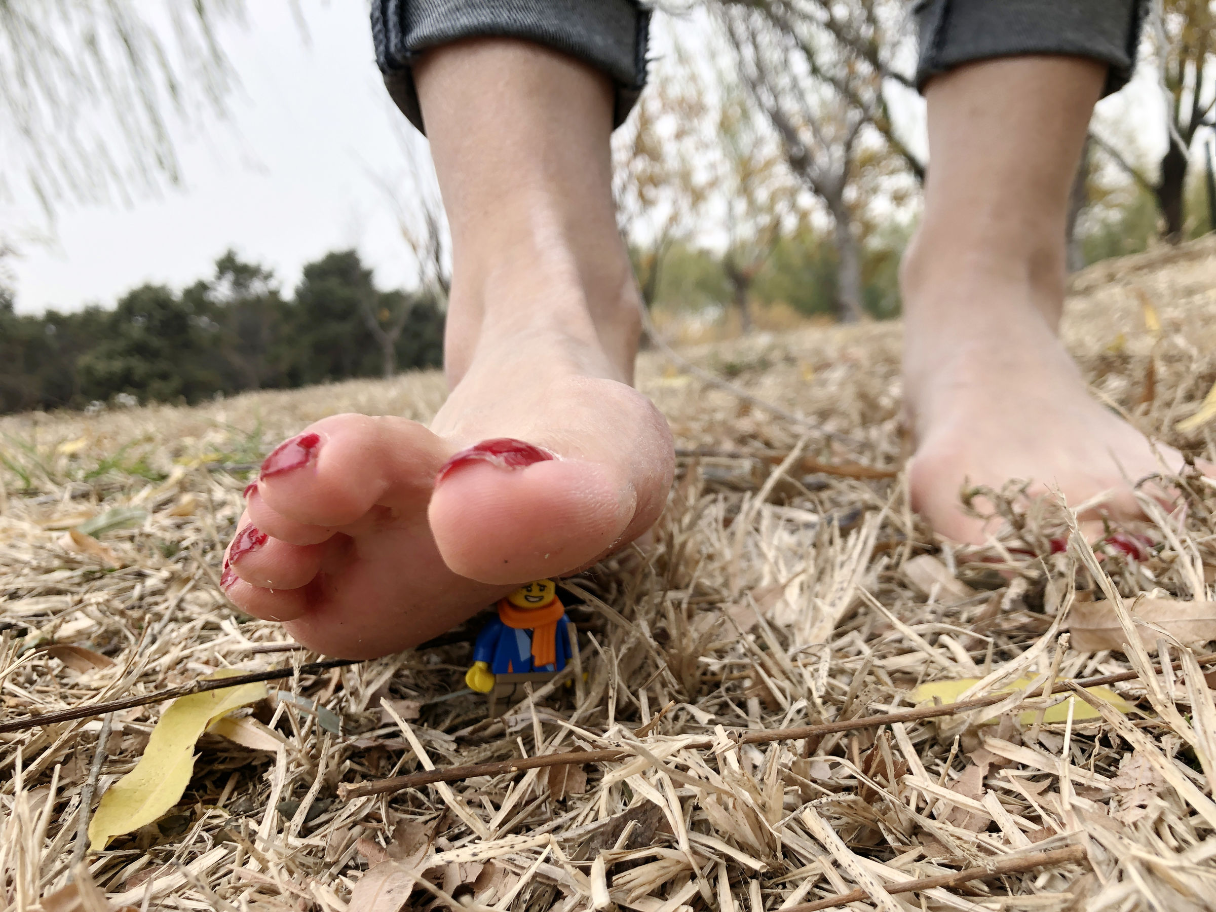 安乔乔儿(Nia乔乔) No.010 红甲裸足-图79