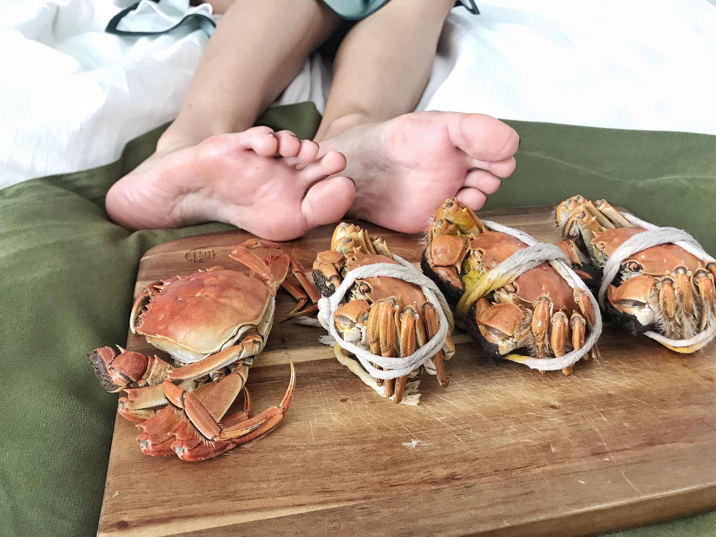 安乔乔儿(Nia乔乔) No.017 安乔乔儿 黑丝旗袍-图104