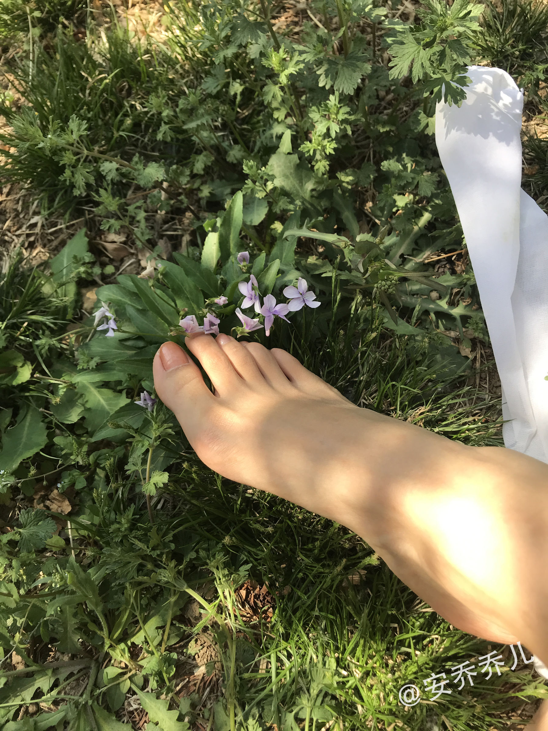 安乔乔儿(Nia乔乔) No.018 夏天的风-图101