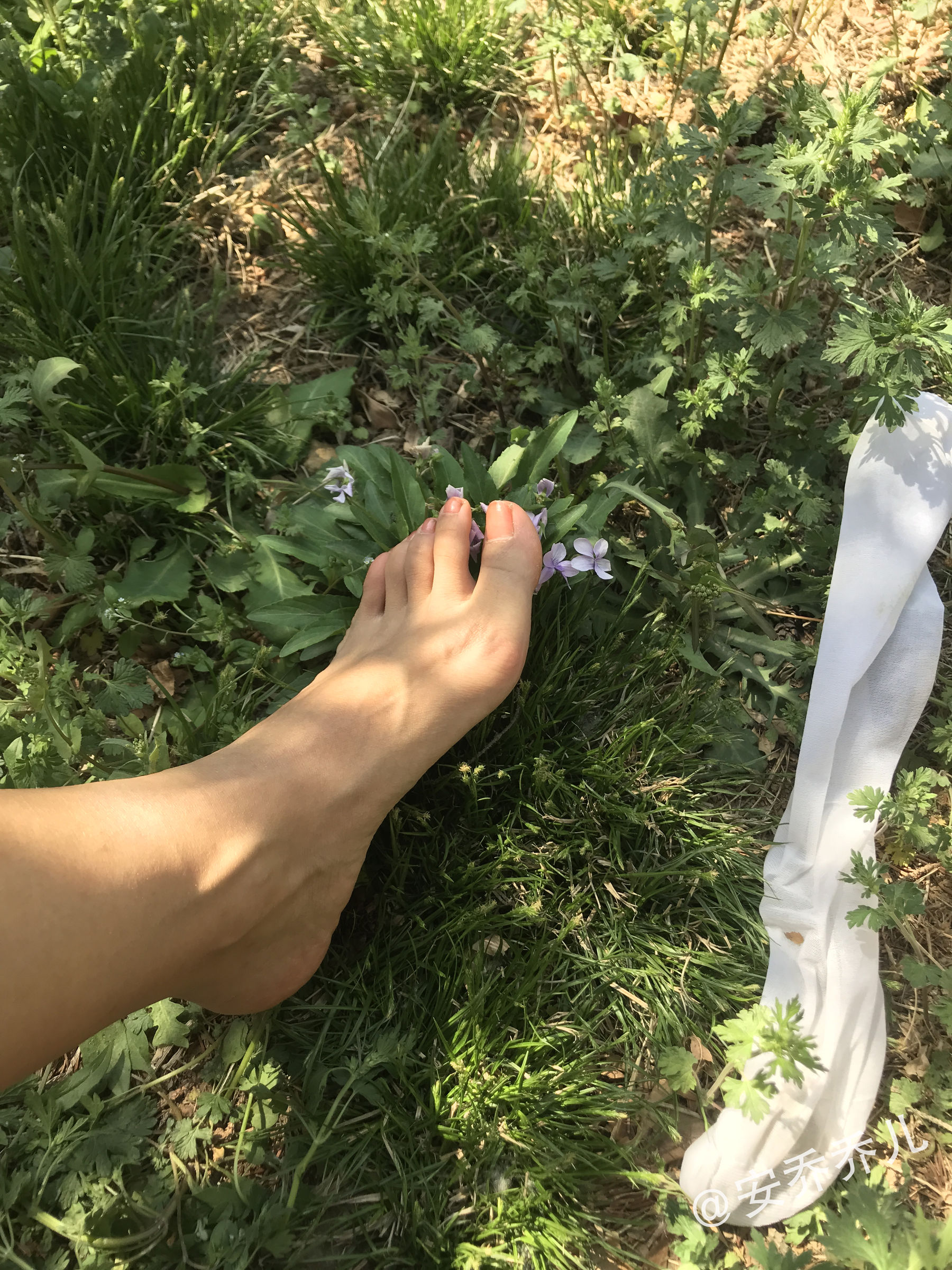 安乔乔儿(Nia乔乔) No.018 夏天的风-图102