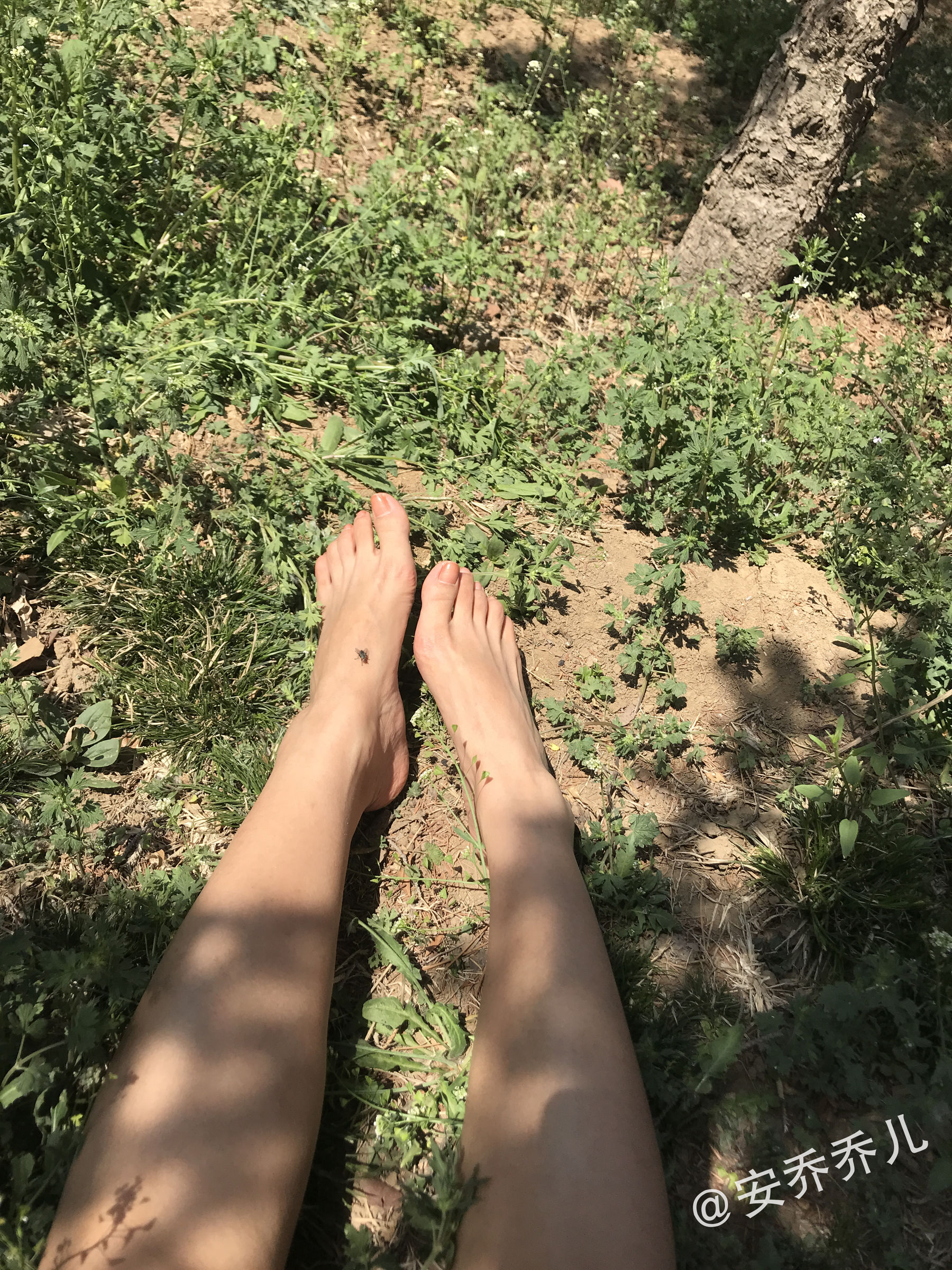 安乔乔儿(Nia乔乔) No.018 夏天的风-图4