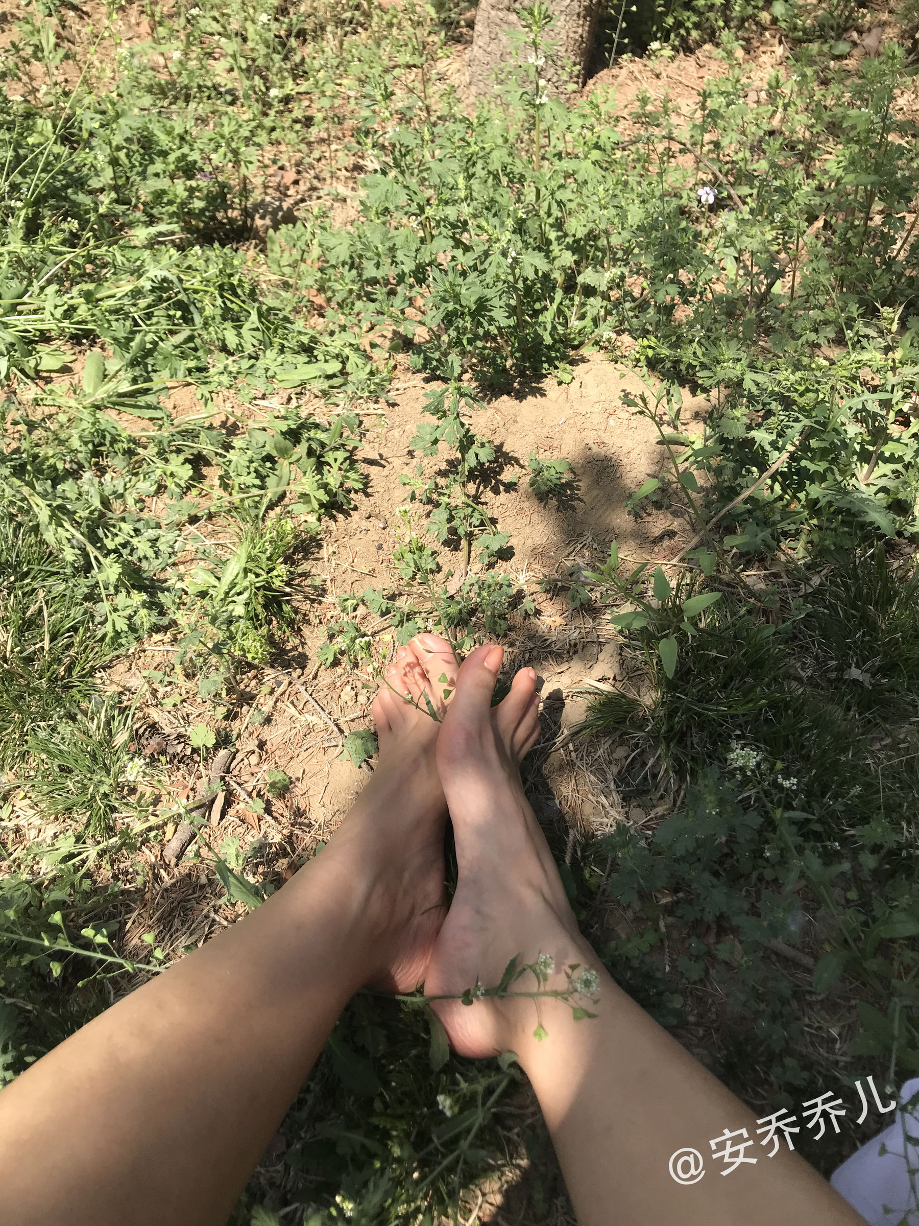 安乔乔儿(Nia乔乔) No.018 夏天的风-图6