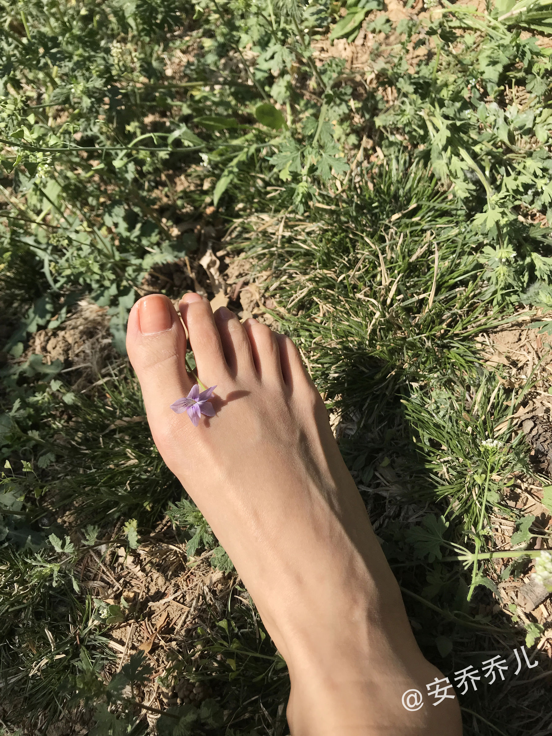 安乔乔儿(Nia乔乔) No.018 夏天的风-图98