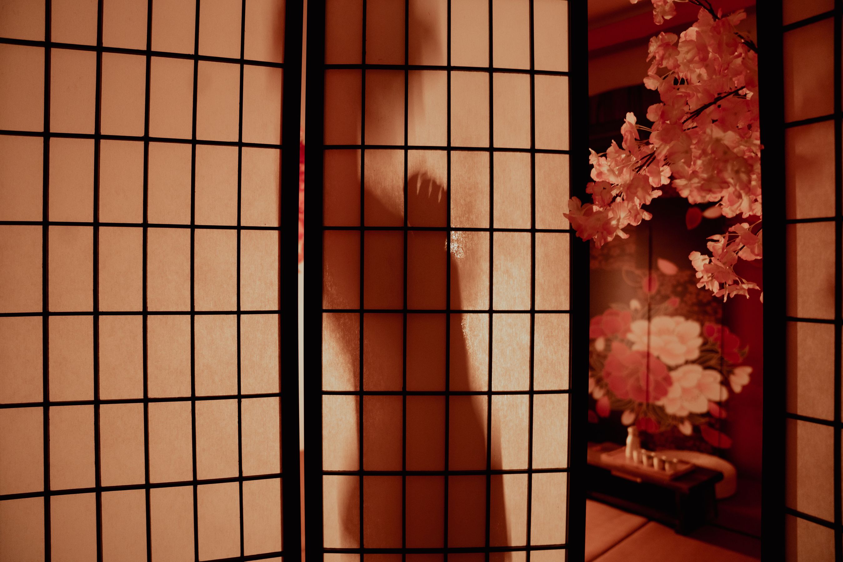 美少女晕崽 - 小樱花-图14