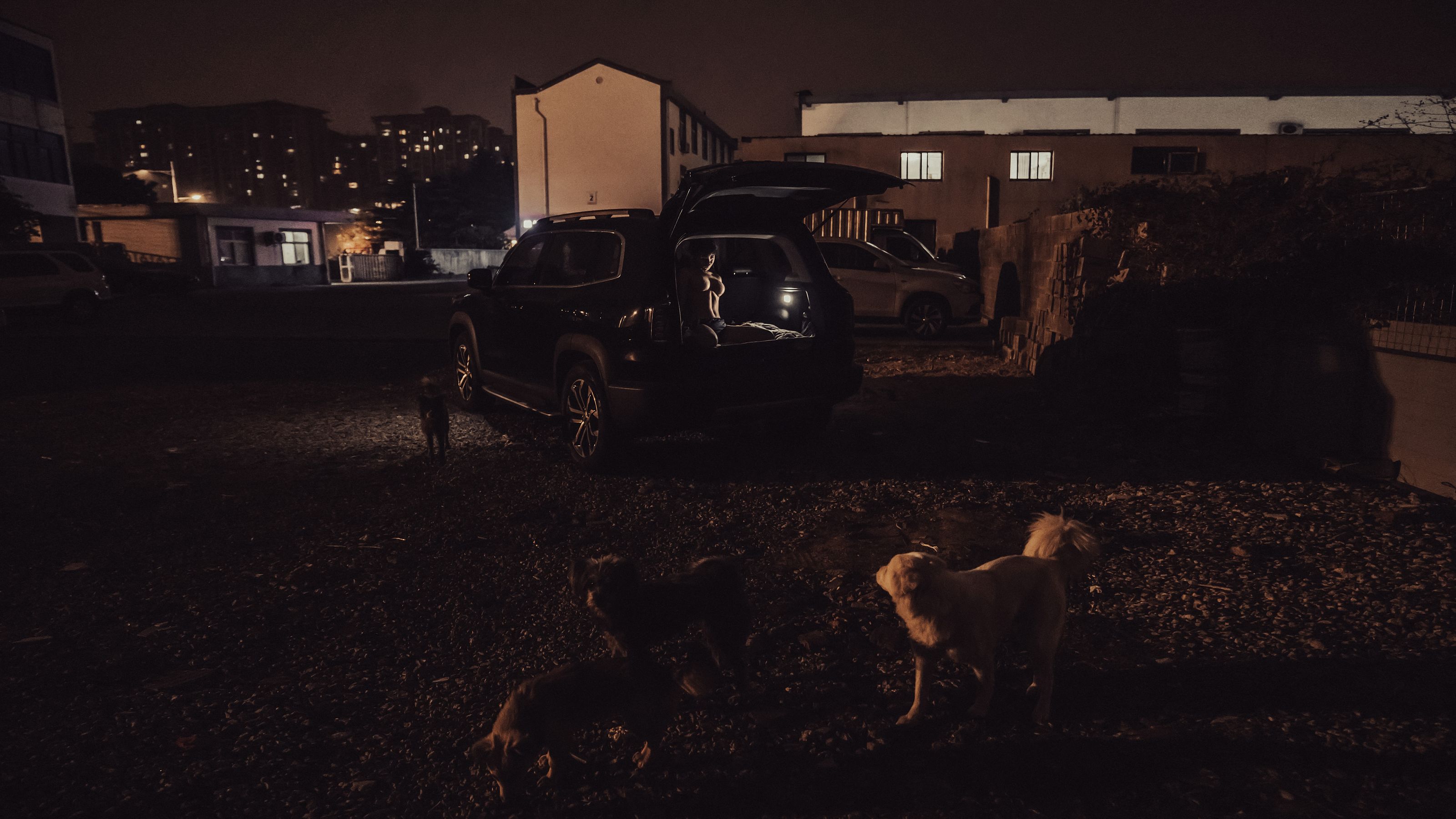 美少女晕崽 - 工地日记-图11