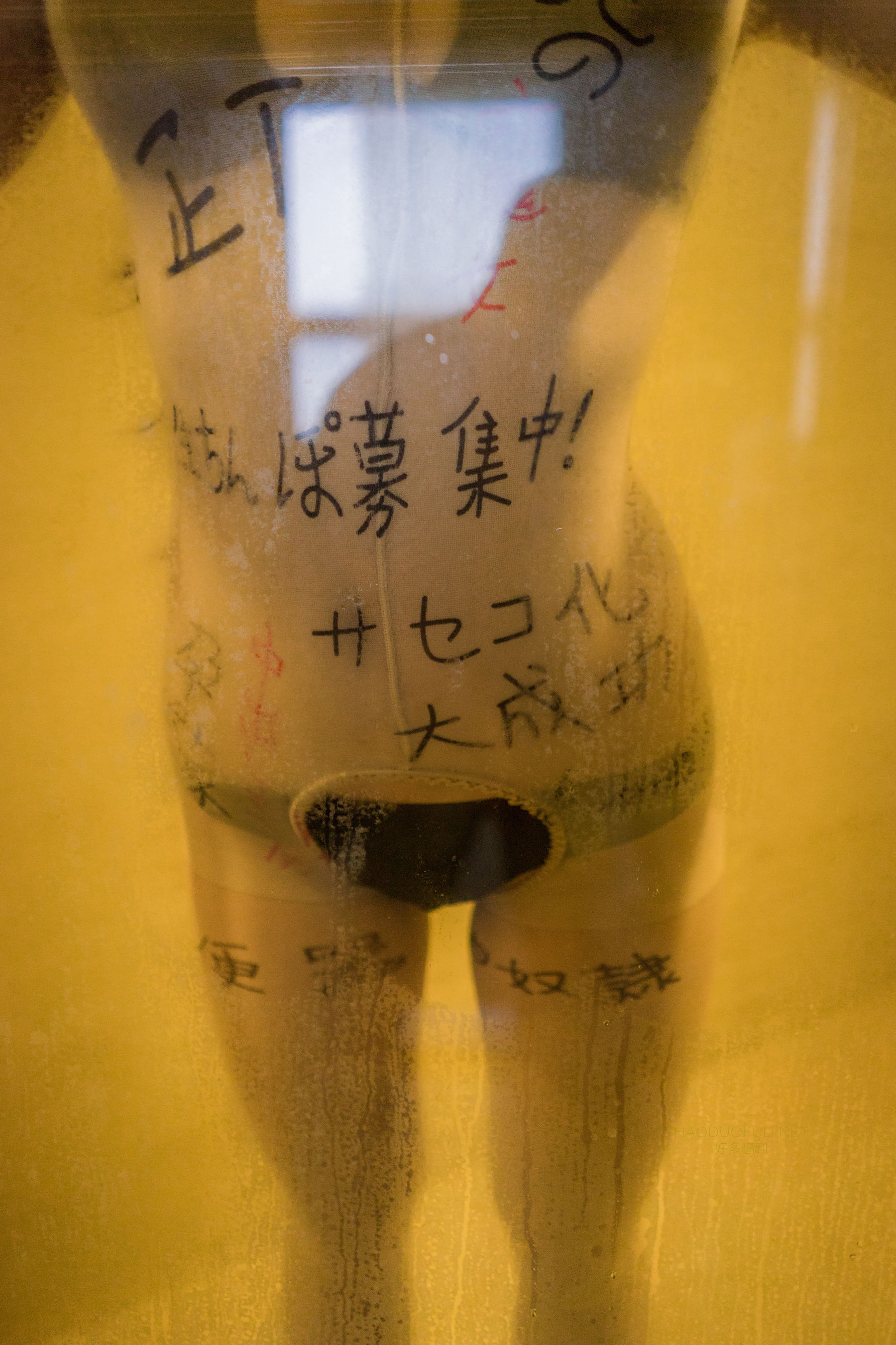 萝莉神楽板真冬 - 肉丝奴隶少女-图36