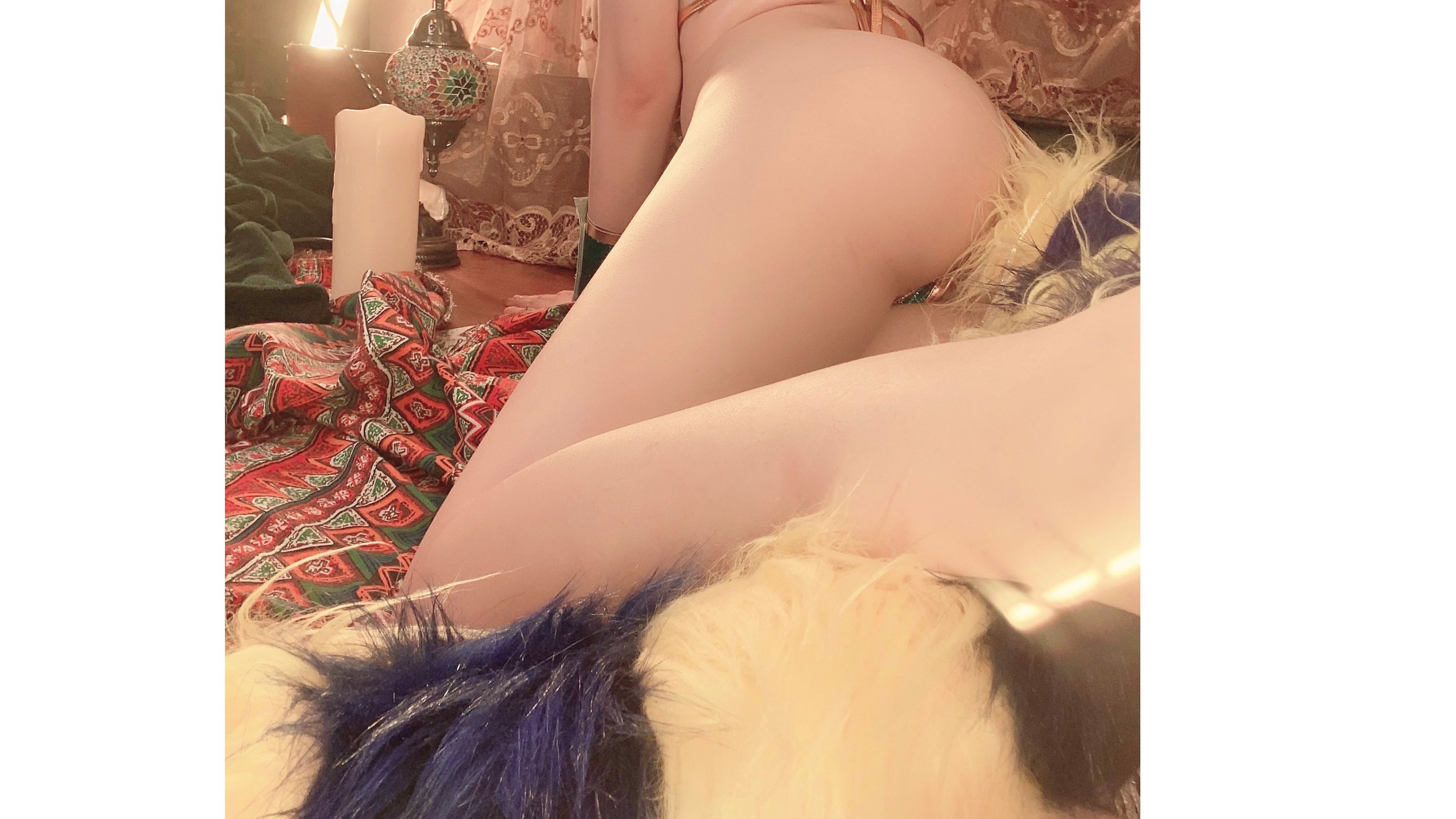 起司块wii - 埃及猫-图39