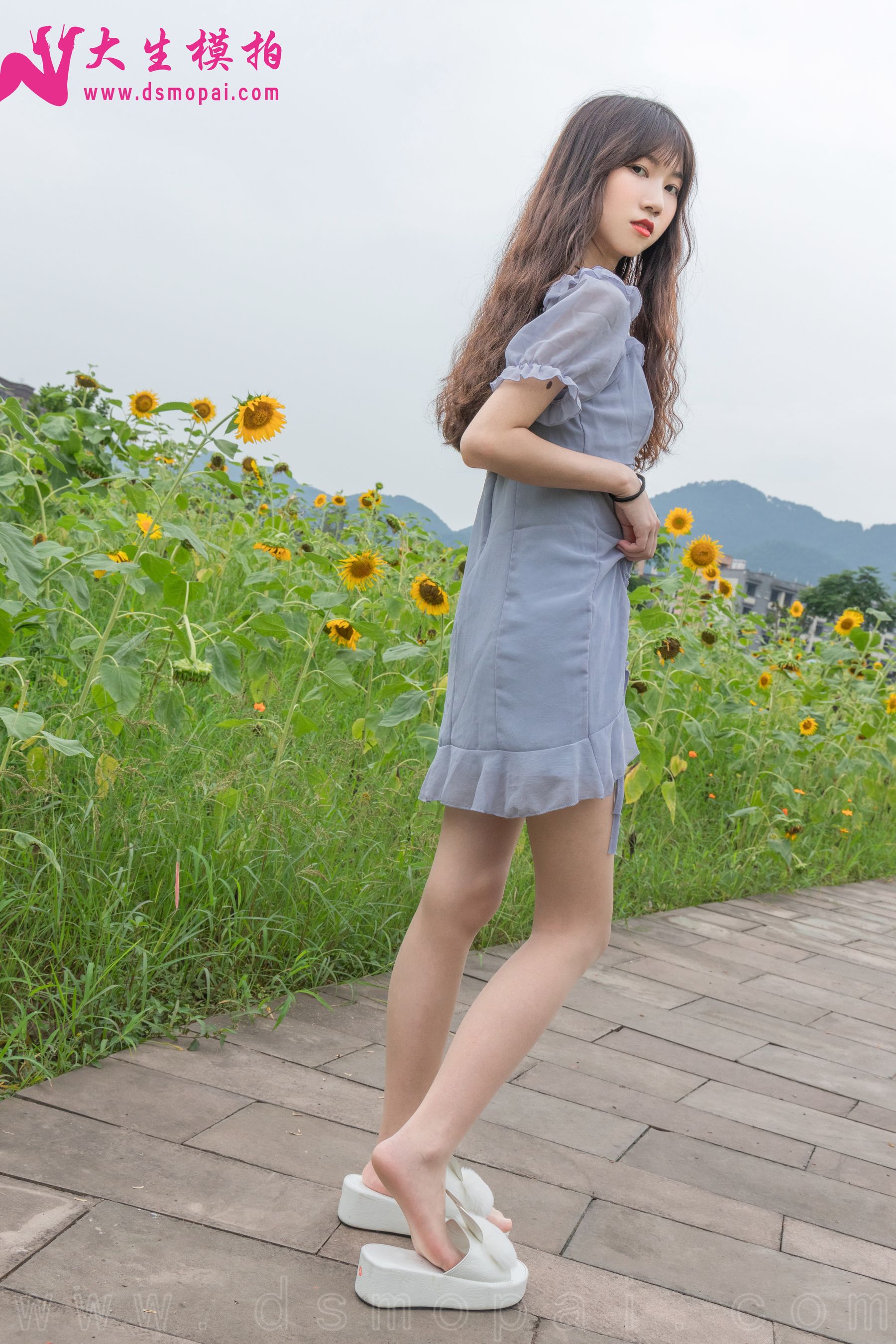 No.240 婉欣 向日葵女孩-图9