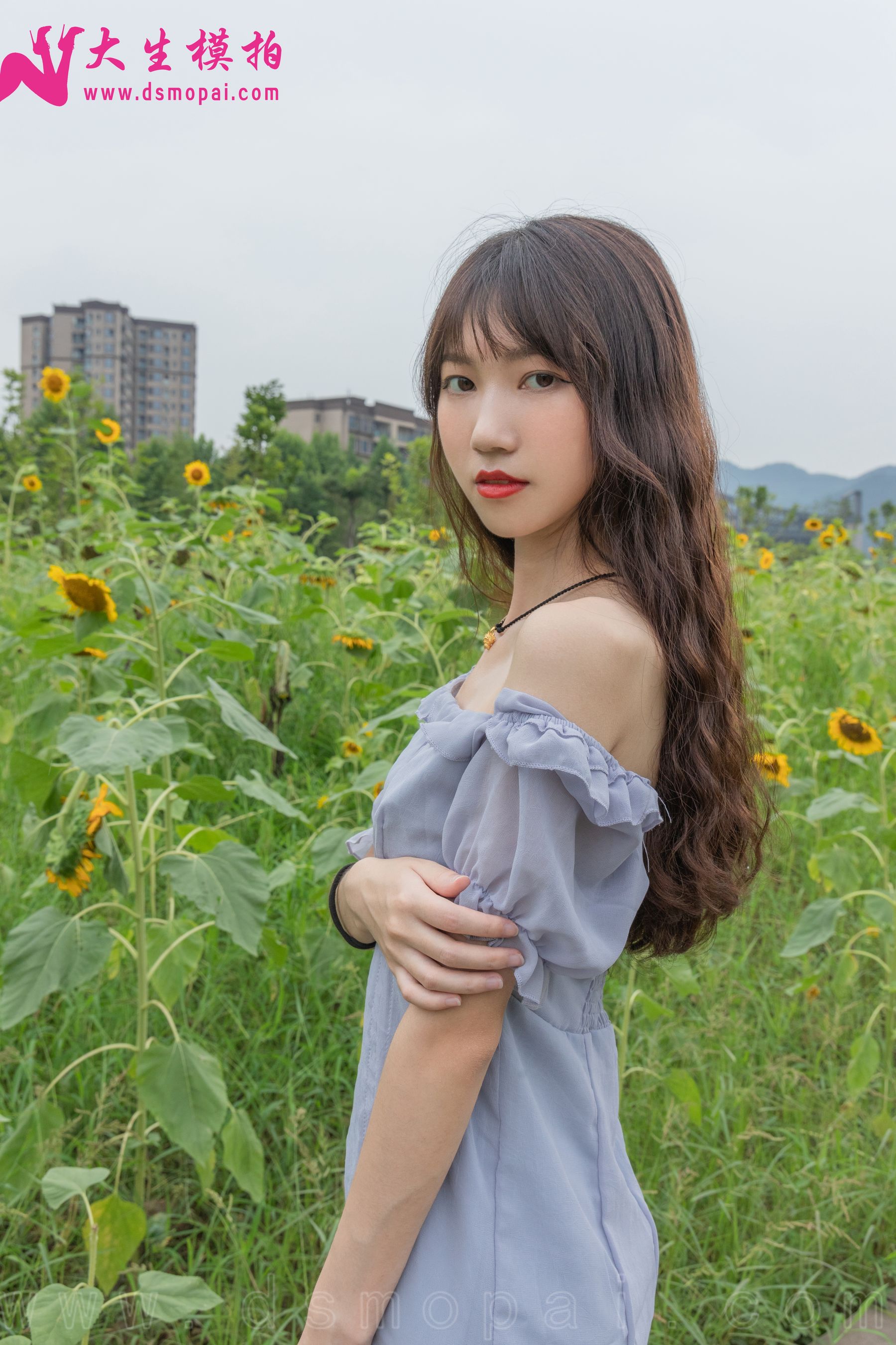 No.240 婉欣 向日葵女孩-图13