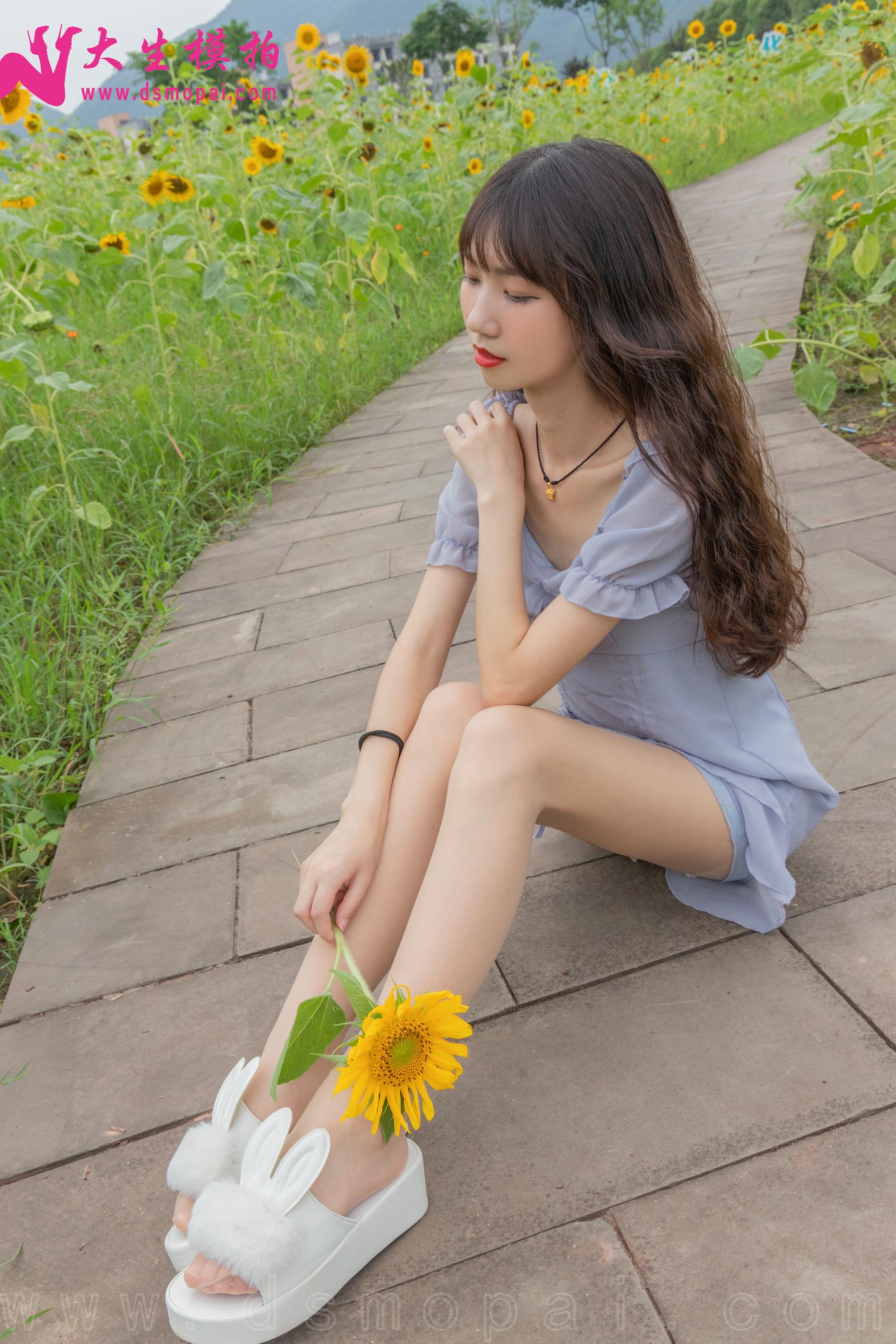 No.240 婉欣 向日葵女孩-图14