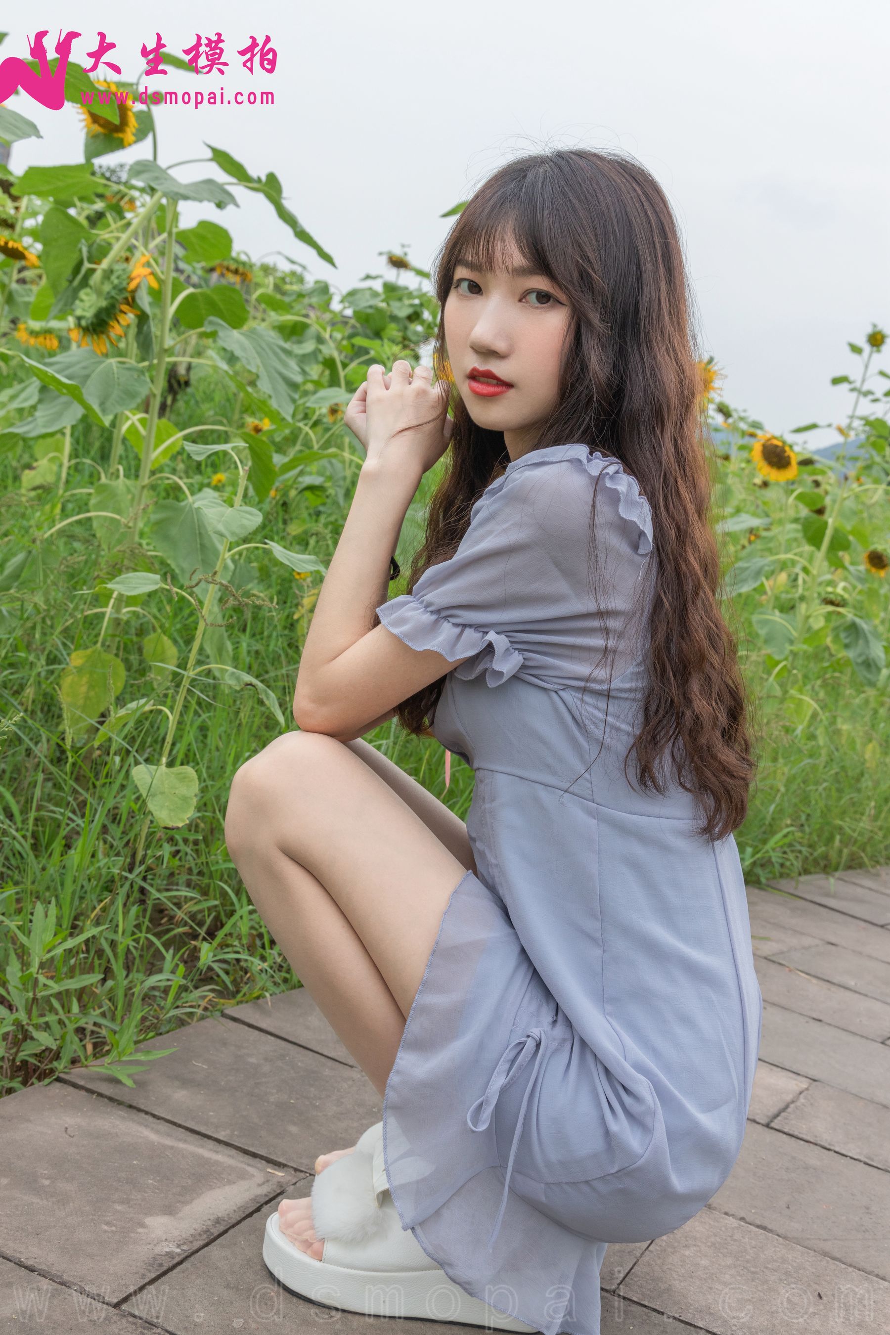 No.240 婉欣 向日葵女孩-图1